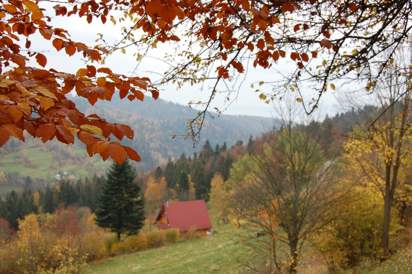 Nikon D40 sample photo. Autumn, landscape, mountains photography