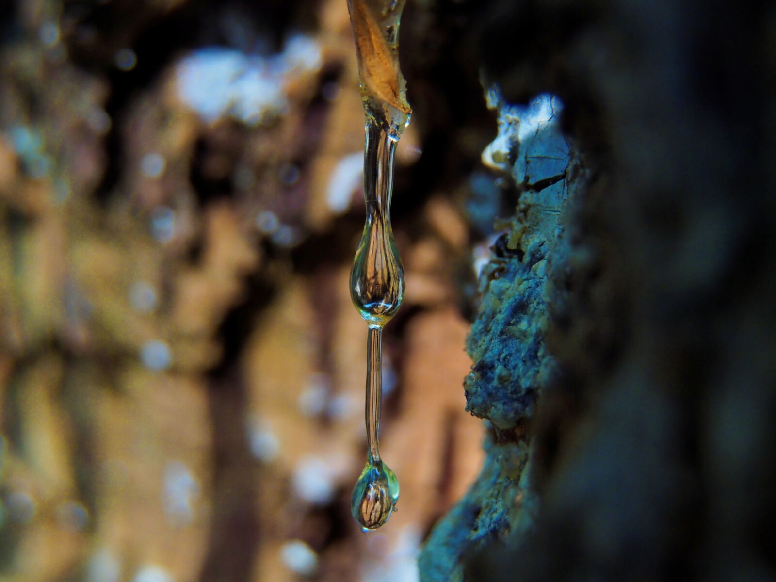 Olympus OM-D E-M10 II sample photo. Nature, resin, drop photography