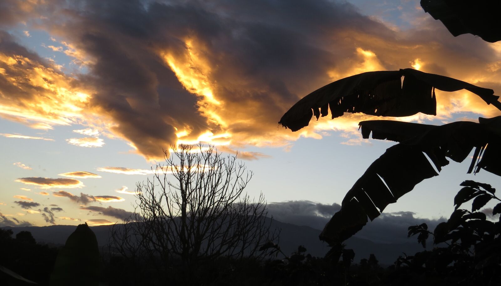 Canon PowerShot SX50 HS sample photo. Sunsets, quindio, colombia photography