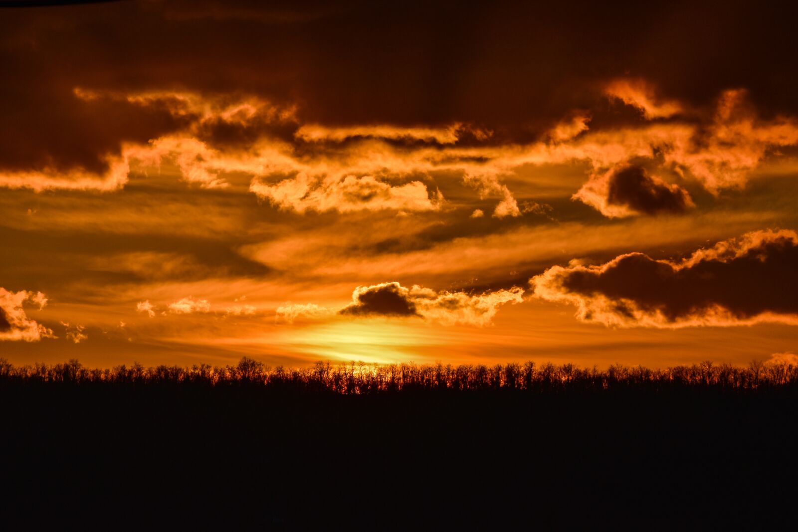 Nikon D5600 sample photo. Sunset, orange, scenic photography