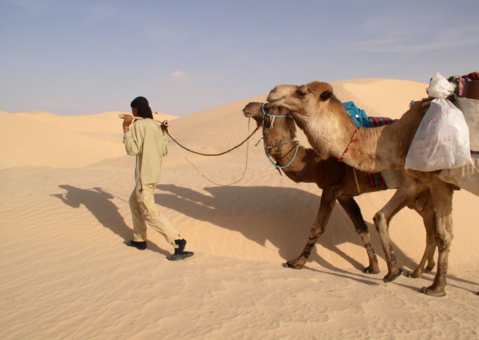 Olympus C4100Z,C4000Z sample photo. Sahara, camels, guide photography