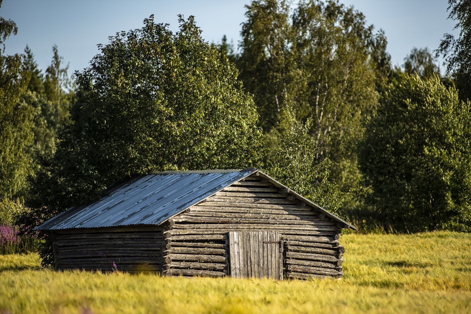 Nikon D750 sample photo. Barn, field, autumn photography