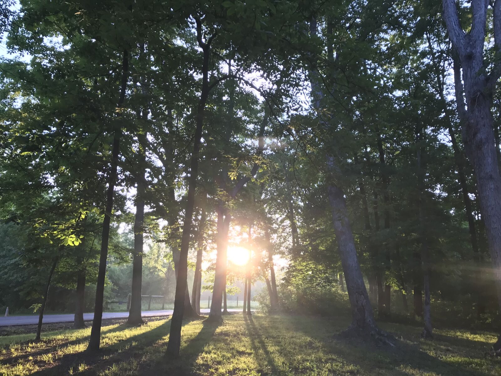 iPhone 7 back camera 3.99mm f/1.8 sample photo. Sunrise, sun ray, morning photography