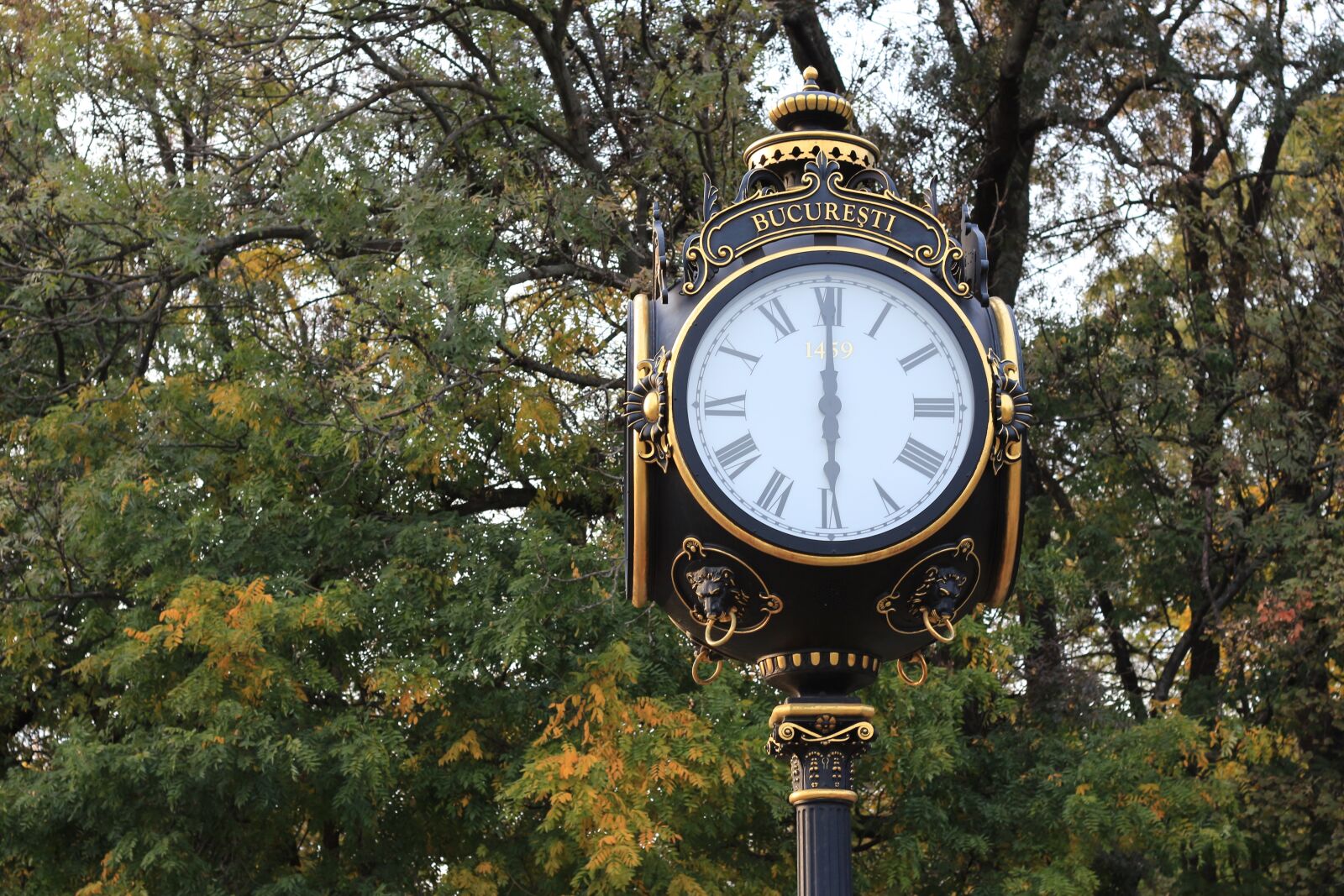 Canon EOS 700D (EOS Rebel T5i / EOS Kiss X7i) + Canon EF 50mm F1.8 STM sample photo. Time, tree, clock photography