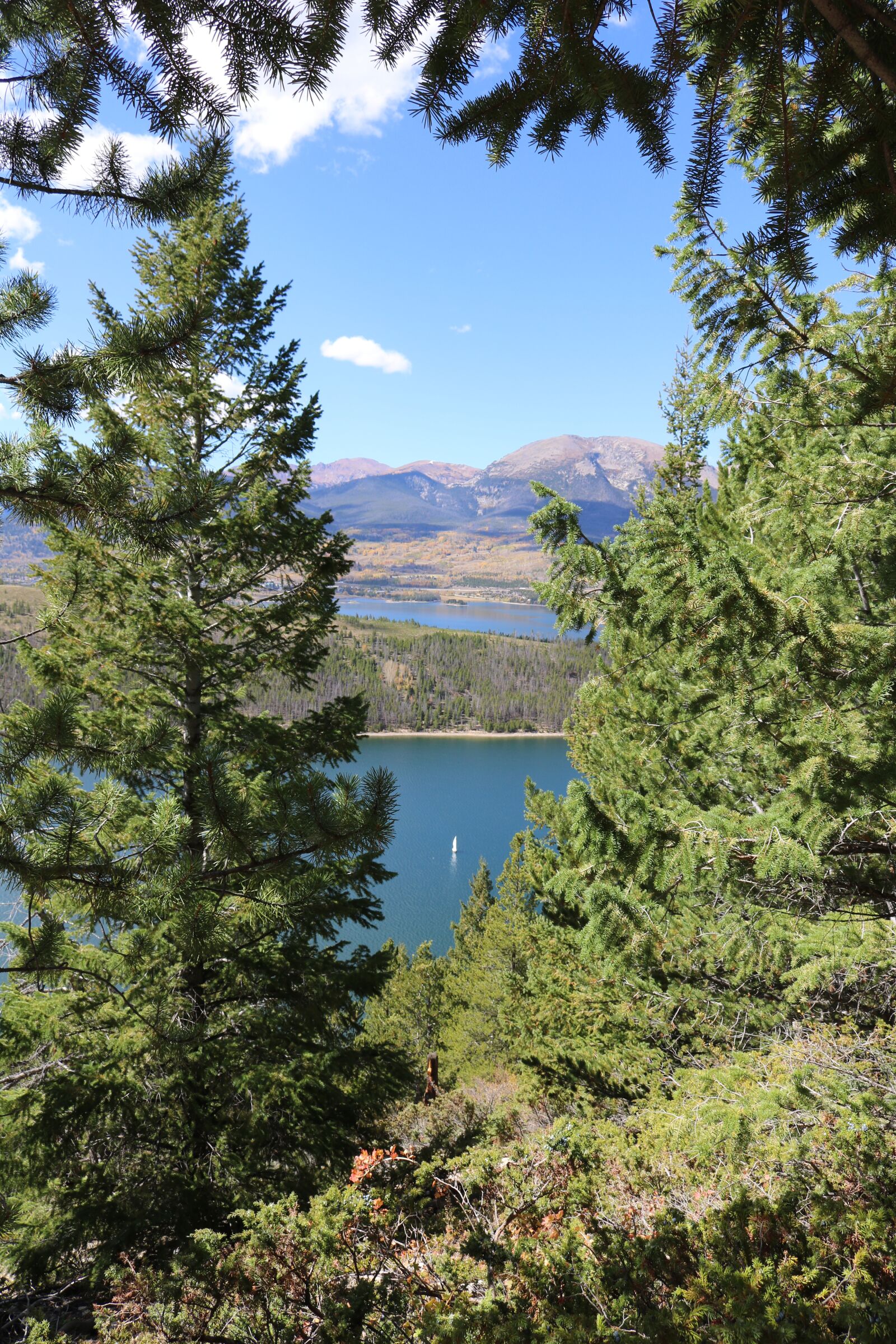 Canon EOS 750D (EOS Rebel T6i / EOS Kiss X8i) sample photo. Boat, trees, water photography