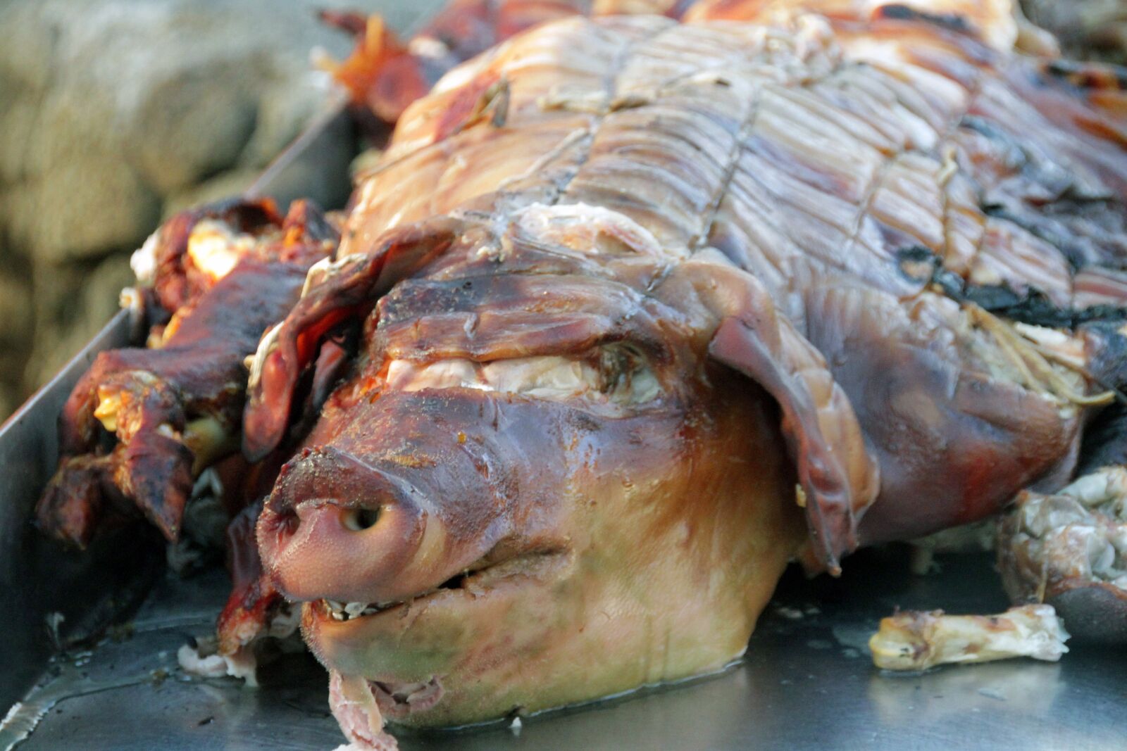 Canon EOS 7D sample photo. Pig, roast, kālua photography