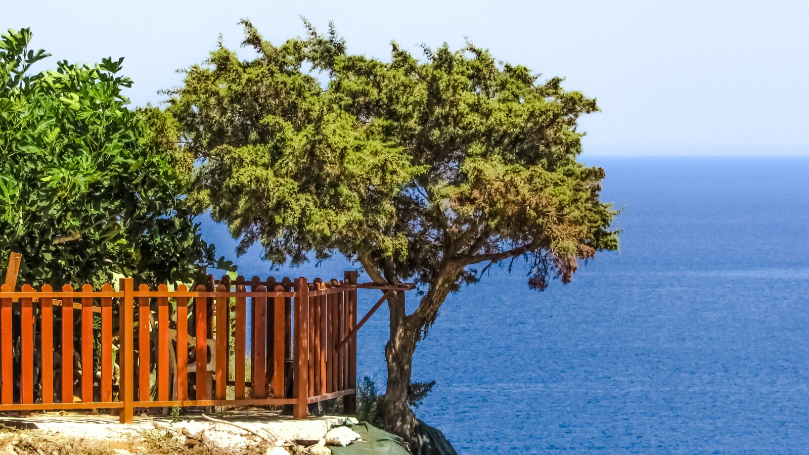 Canon PowerShot SX400 IS sample photo. Tree, sea, cliff photography