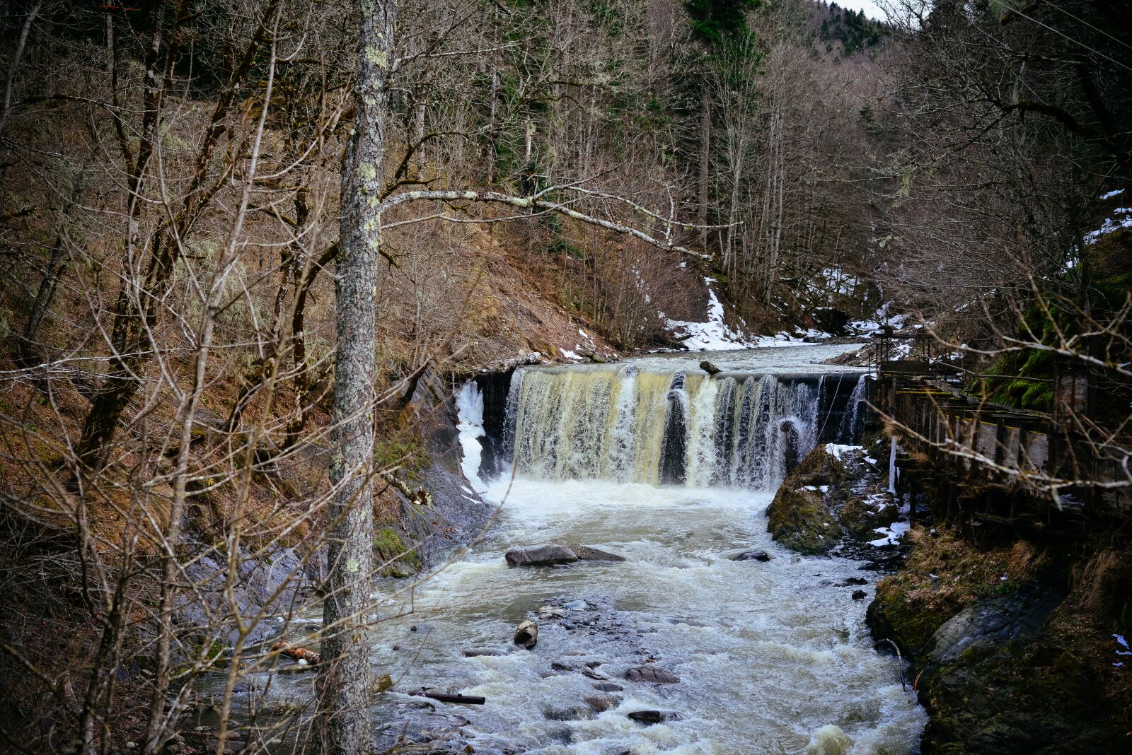 Nikon D800 sample photo. Forest, mountains, waterfall photography