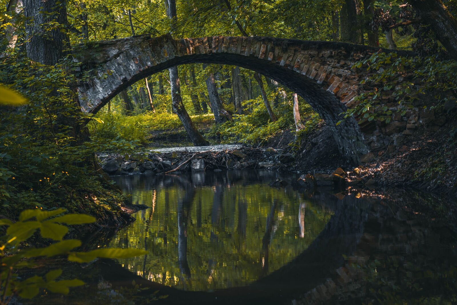 Nikon D5600 sample photo. Bridge, river, bobrava photography