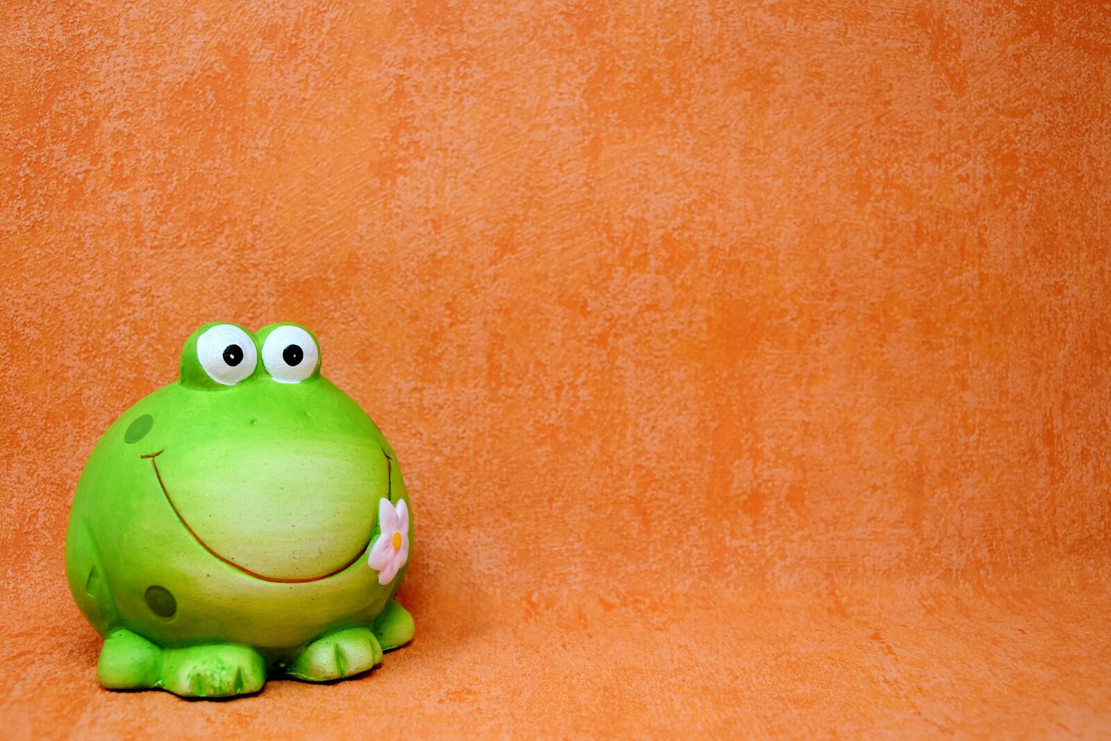 Nikon D7200 sample photo. Frog, figure, funny photography