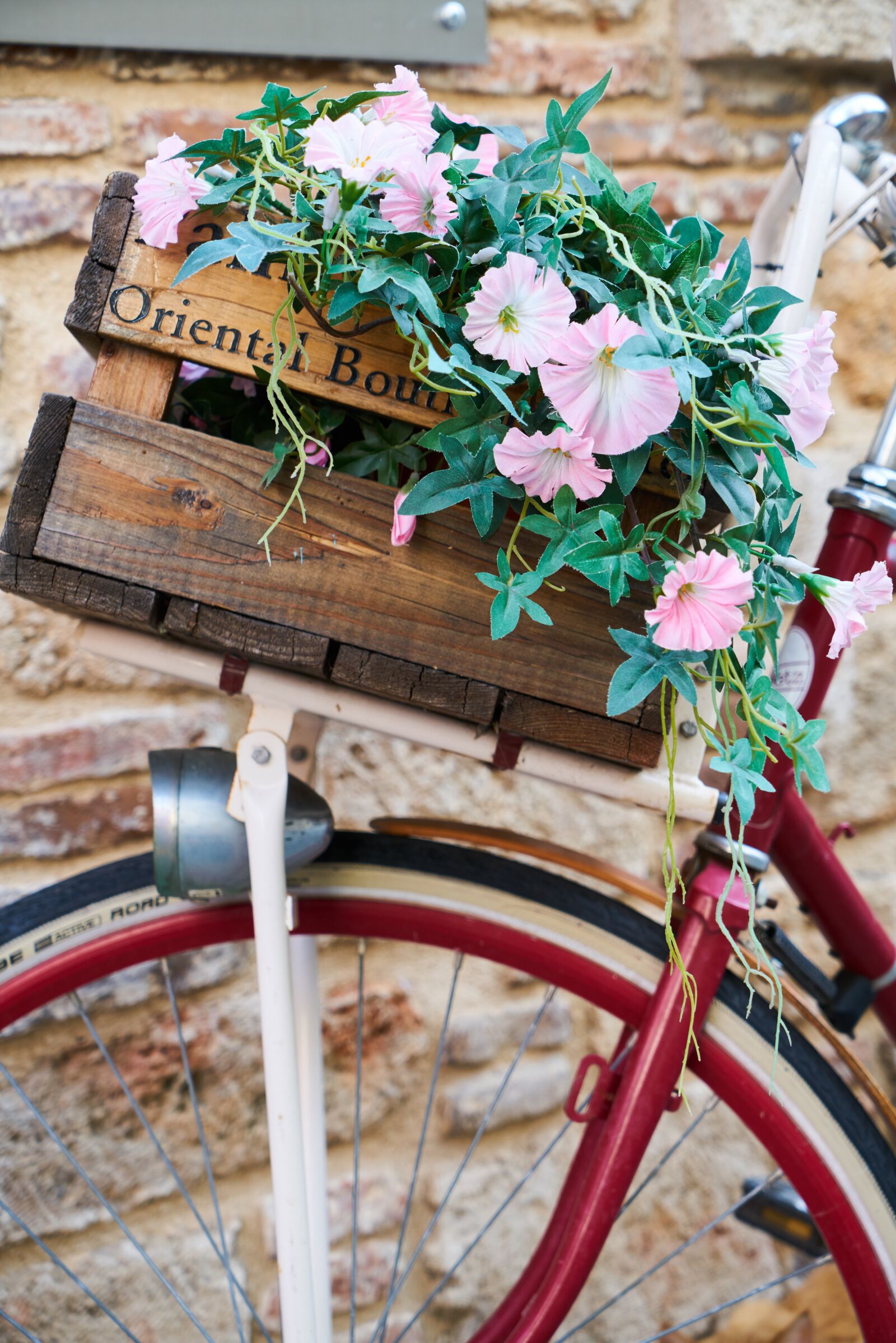 Sony a7R II sample photo. Bicycle, flowerpot, flower photography