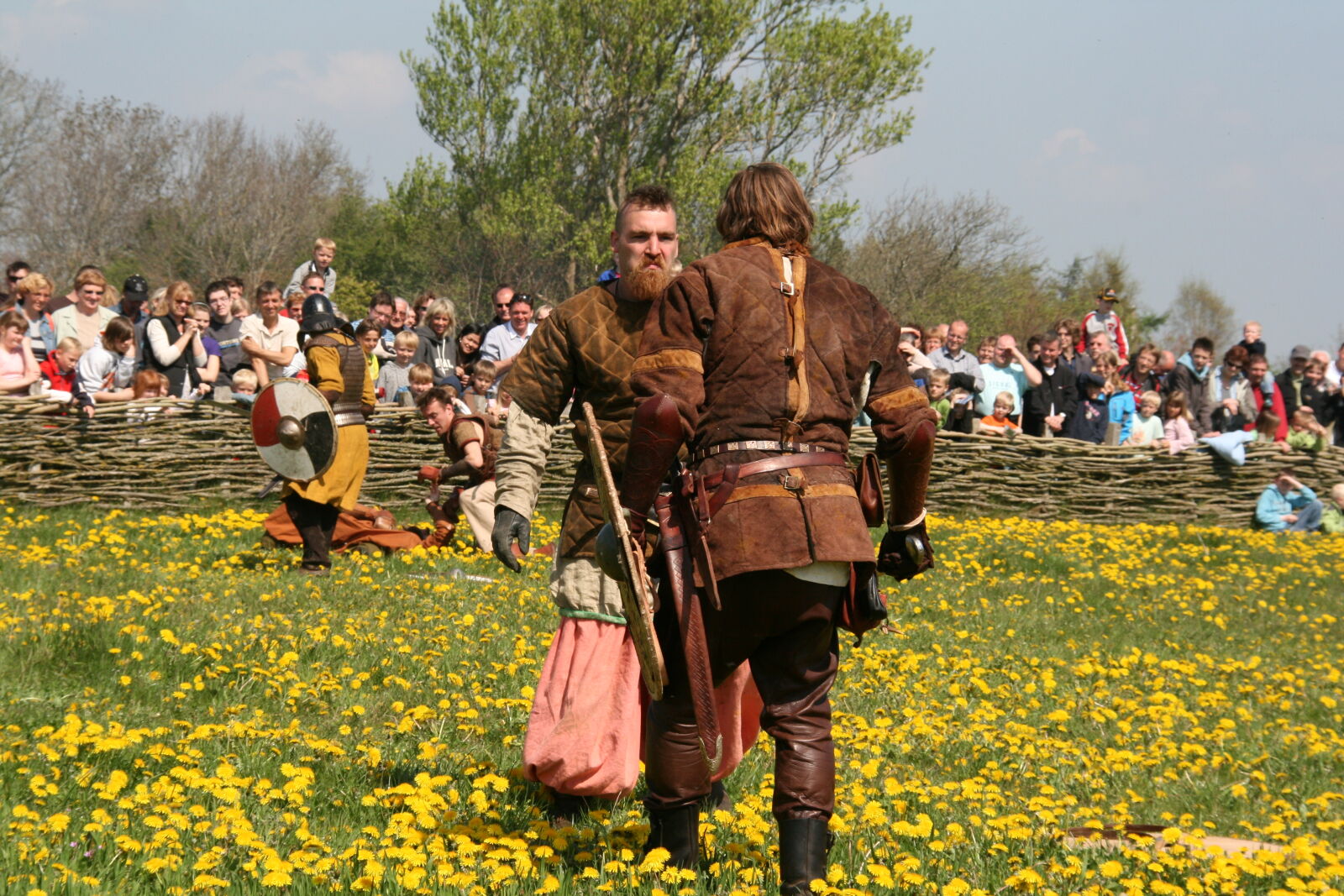 Sigma 18-200mm f/3.5-6.3 DC OS sample photo. Vikings photography