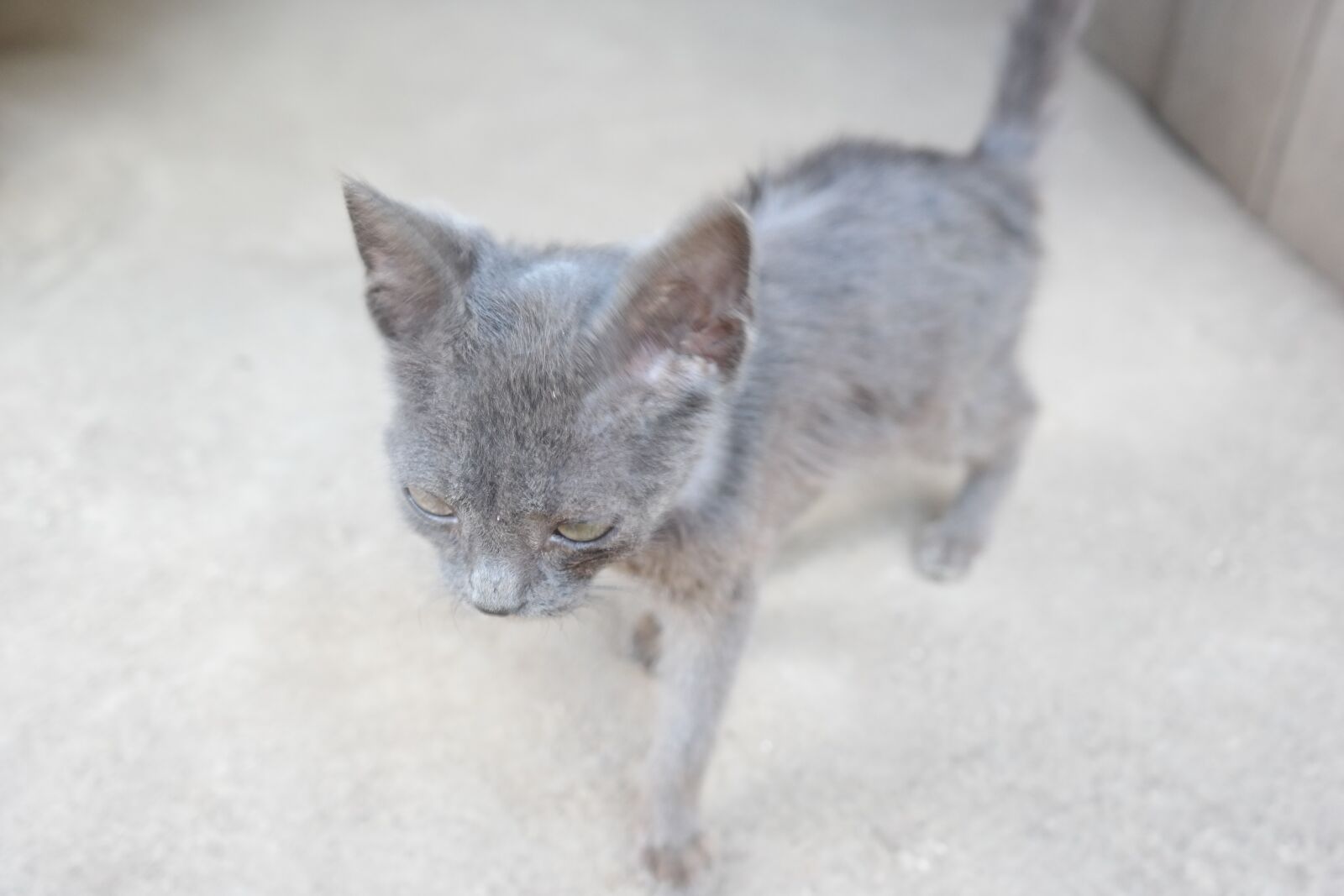 Samsung NX300 sample photo