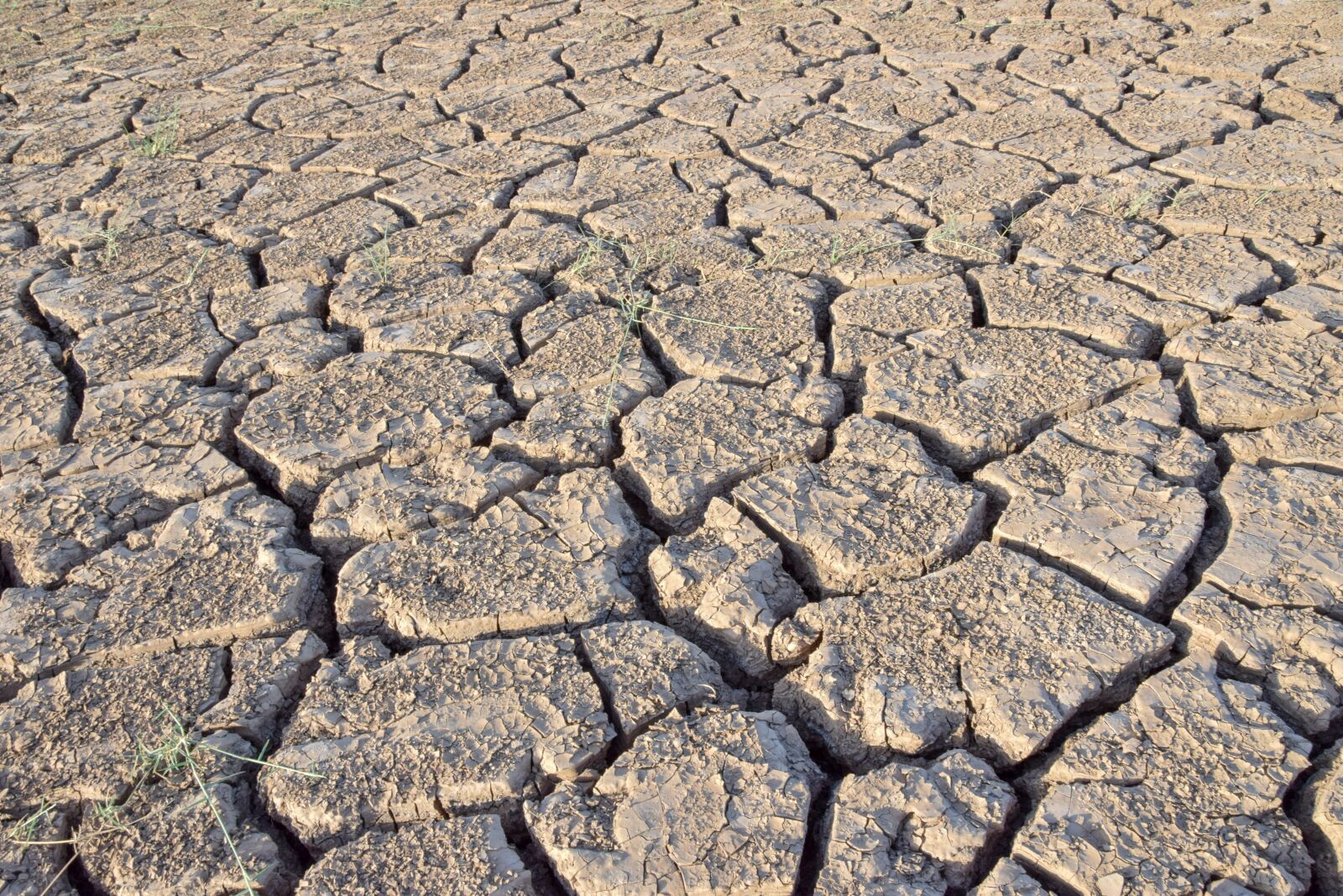 Nikon D5300 sample photo. Mud, africa, nature photography