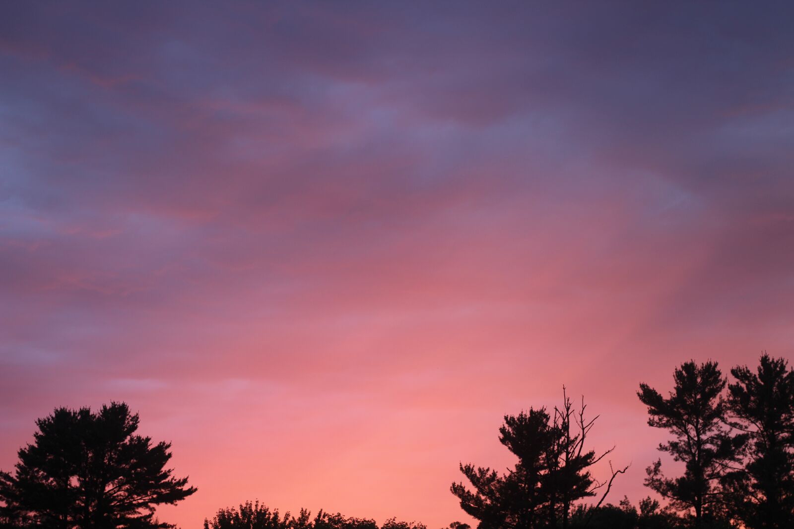 Canon EOS 1200D (EOS Rebel T5 / EOS Kiss X70 / EOS Hi) sample photo. Sunset, pink, yellow photography