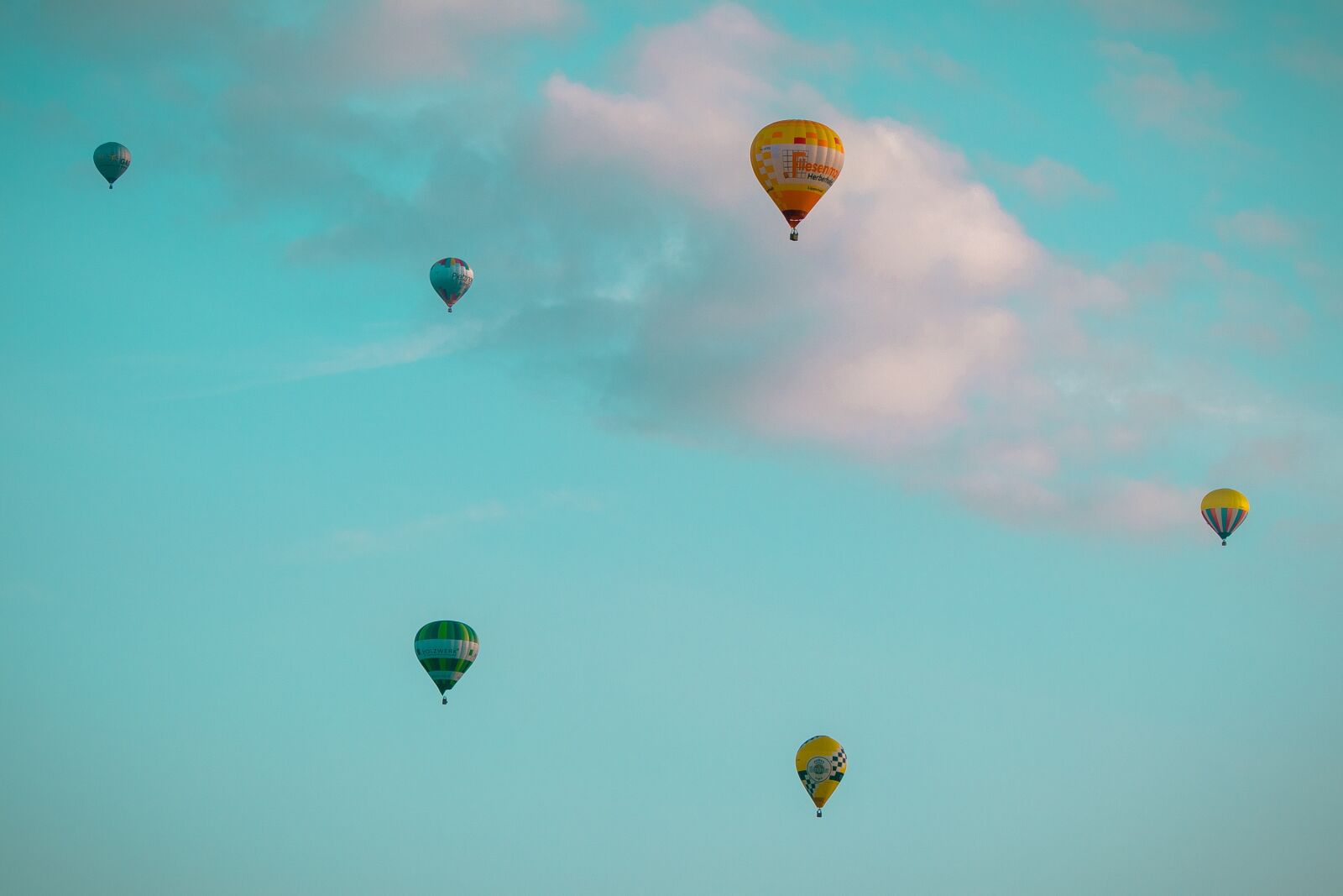 Canon EOS M100 sample photo. Hot air balloon, montgolfiade photography