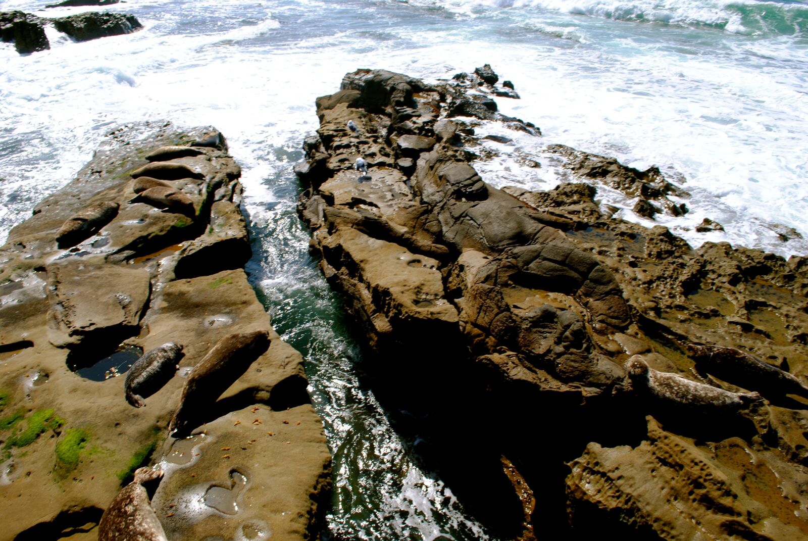 Nikon D3000 sample photo. Water, ocean, sea photography
