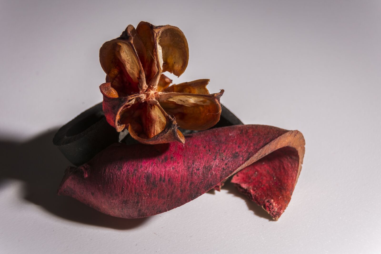 Nikon D7200 sample photo. Art, indoor, design photography