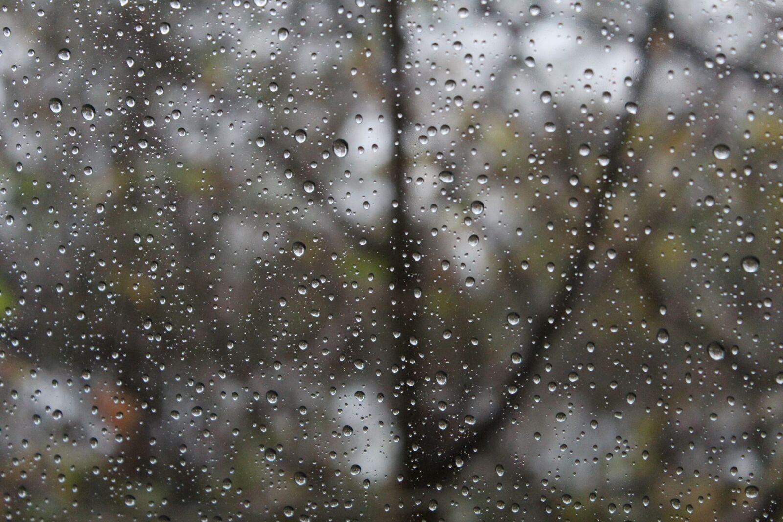Canon EOS 600D (Rebel EOS T3i / EOS Kiss X5) sample photo. Rainy day, raindrop, drip photography