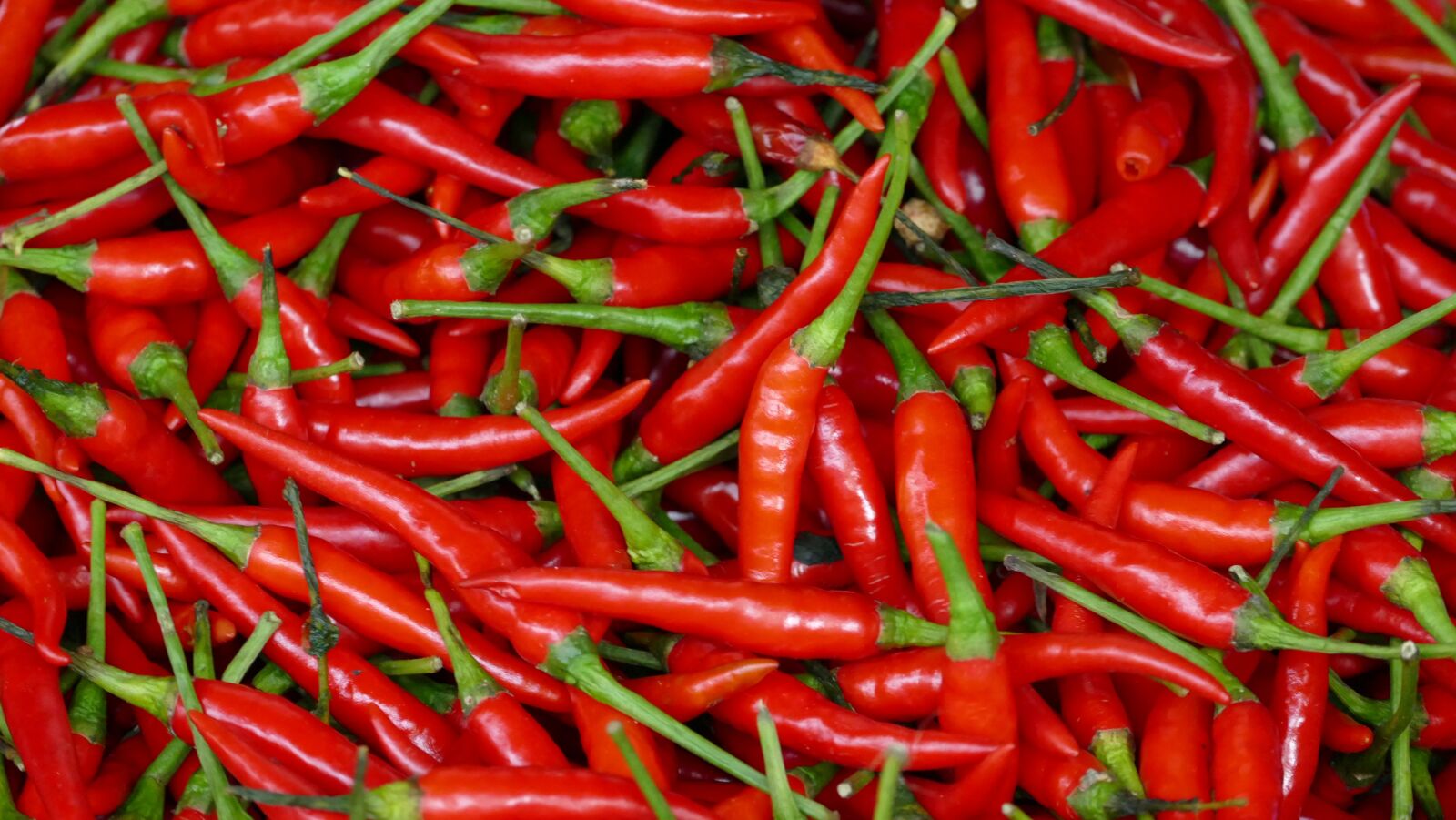 Panasonic Lumix DMC-FZ1000 sample photo. Chili, food, pods photography