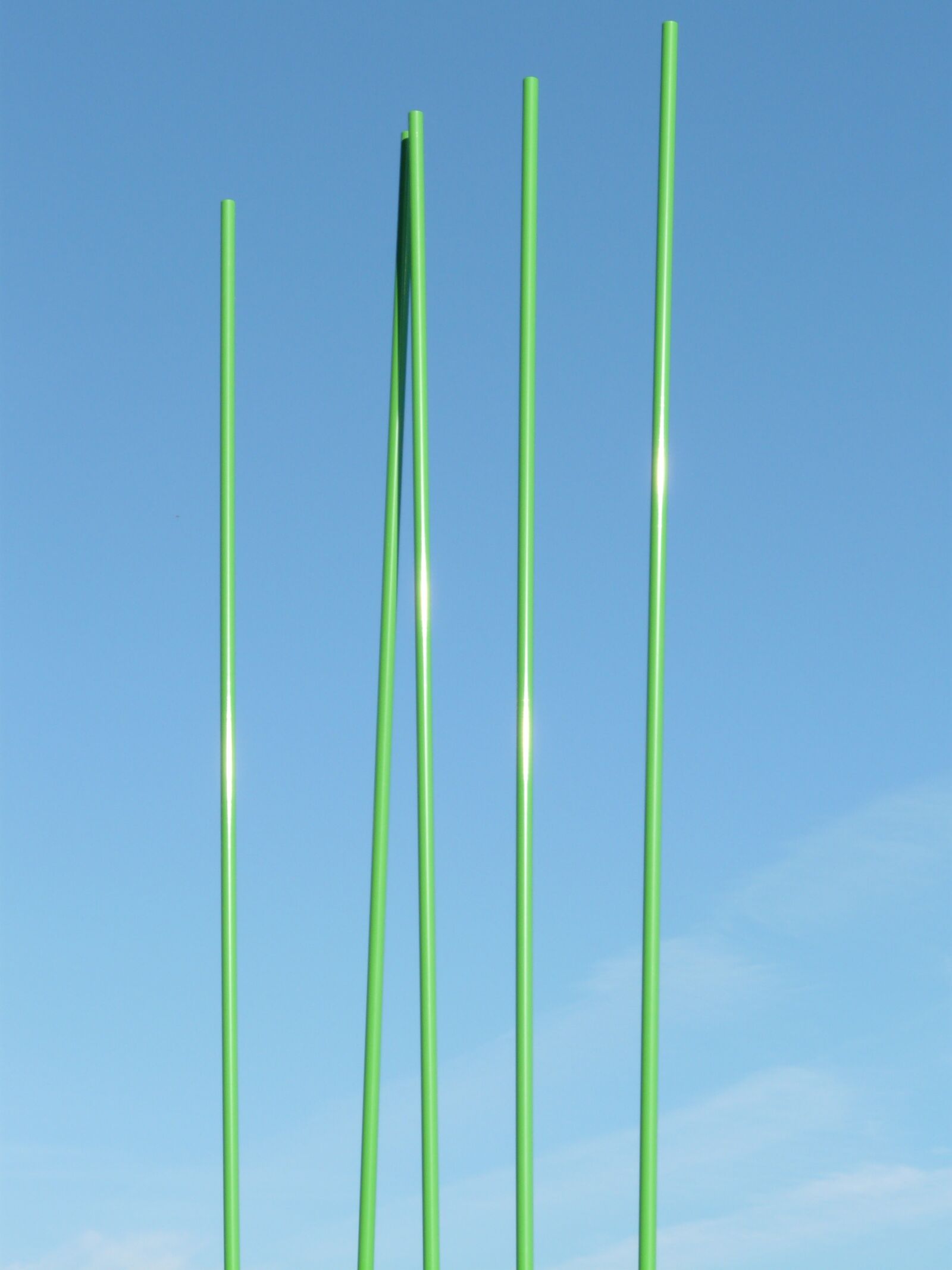 Panasonic DMC-FZ18 sample photo. Rods, green, artwork photography