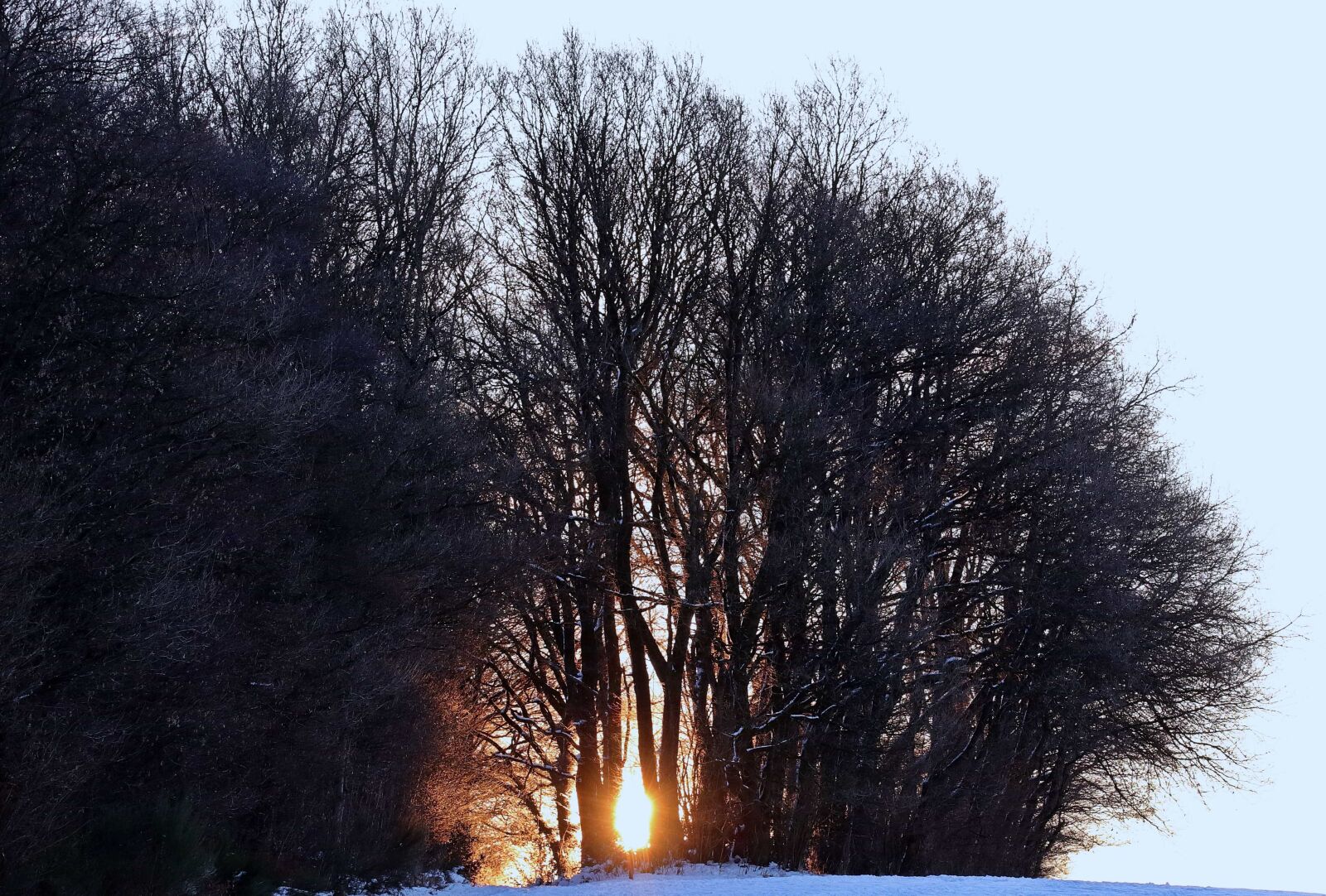 Canon EOS 80D sample photo. Dawn, tree, nature, sunrise photography