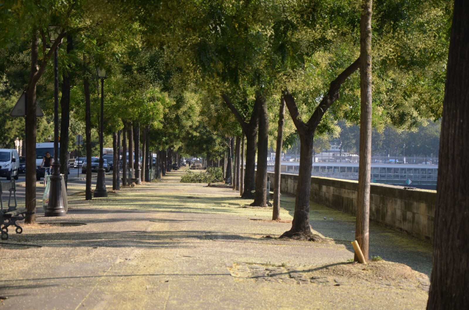 Nikon D5100 sample photo. Walk, city, nature photography