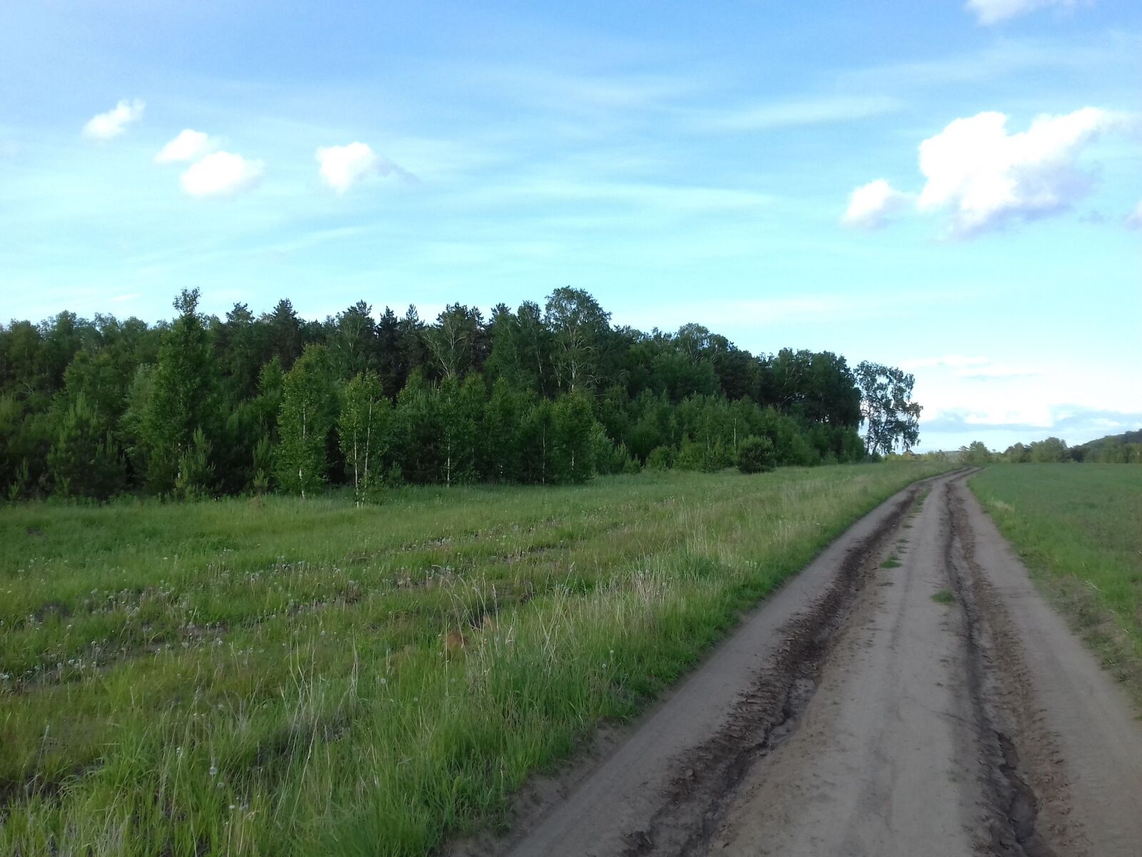 Samsung Galaxy Grand Prime sample photo. Spring, may, road photography