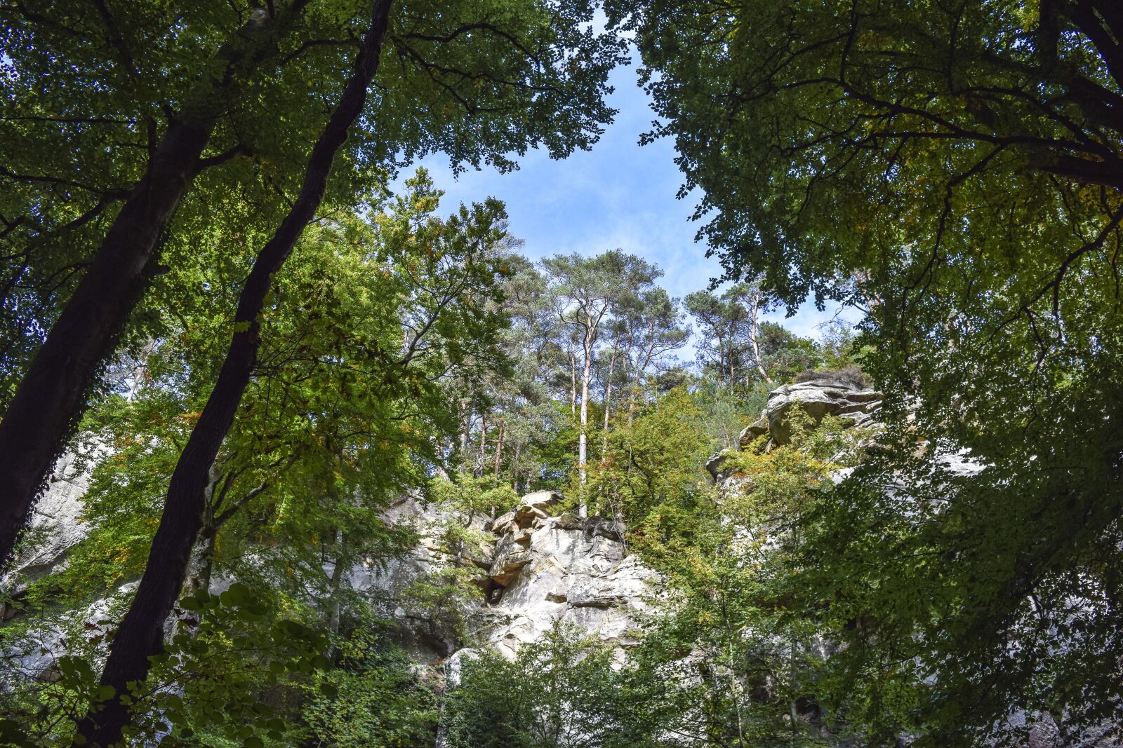 Nikon D3300 sample photo. Forest, nature, landscape photography
