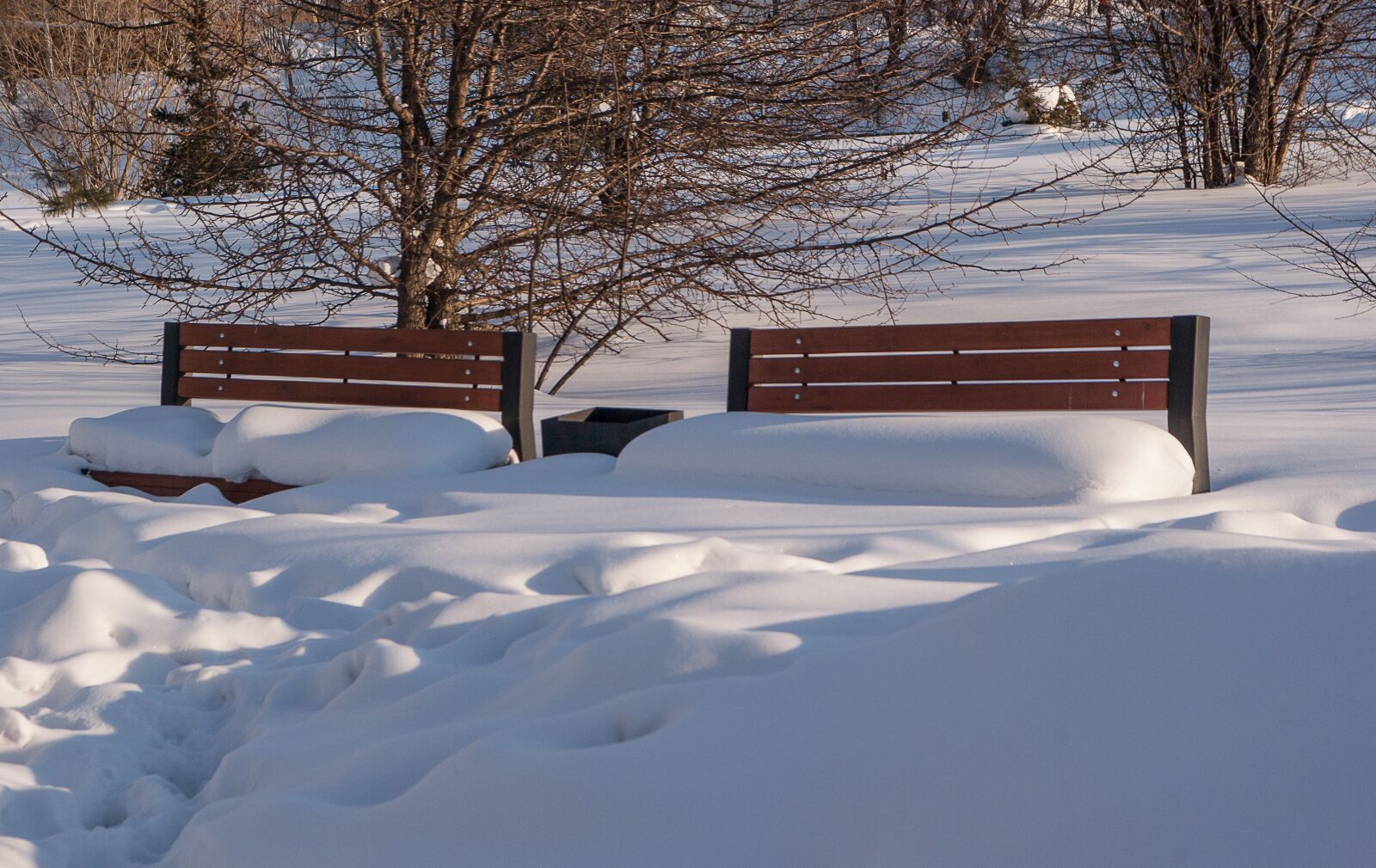 Pentax K10D sample photo. Shoals, snow, winter photography