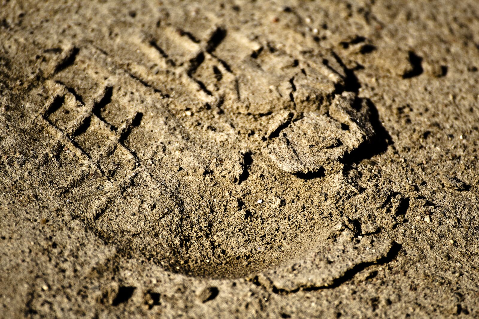 Canon EOS 600D (Rebel EOS T3i / EOS Kiss X5) sample photo. Footprints, footprints in the photography