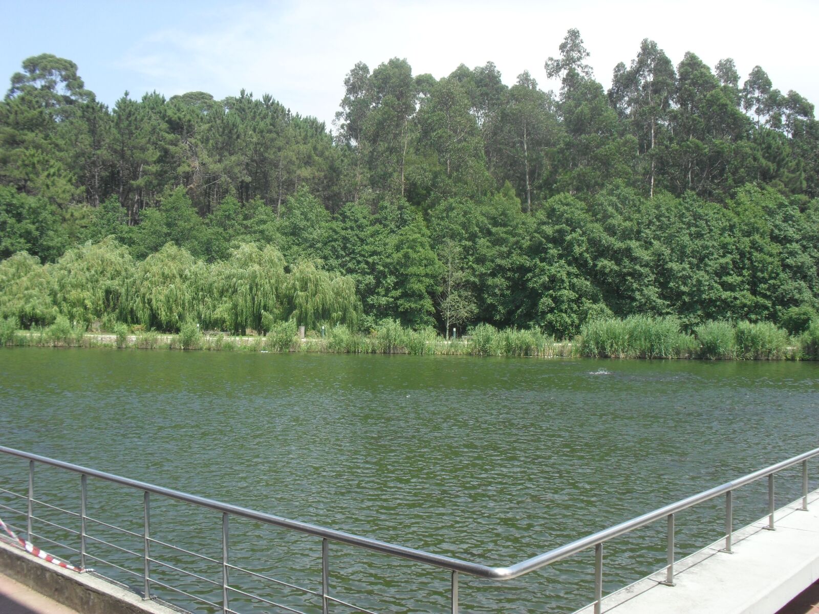 Samsung ES17 / VLUU ES17 /  SL40 /  ES19 sample photo. Photo, the lake, in photography