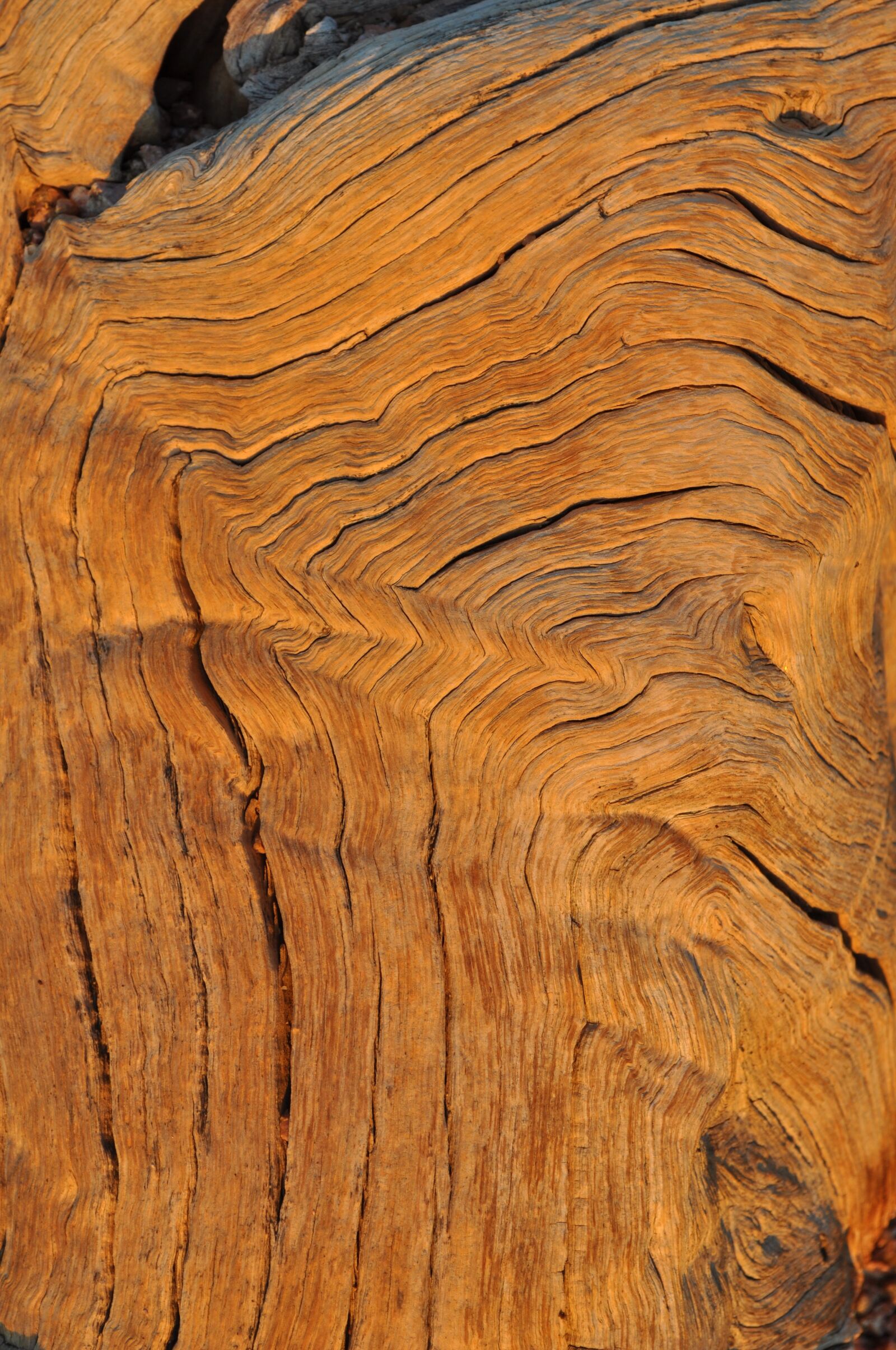 Nikon D90 sample photo. Wood, grain, structure photography
