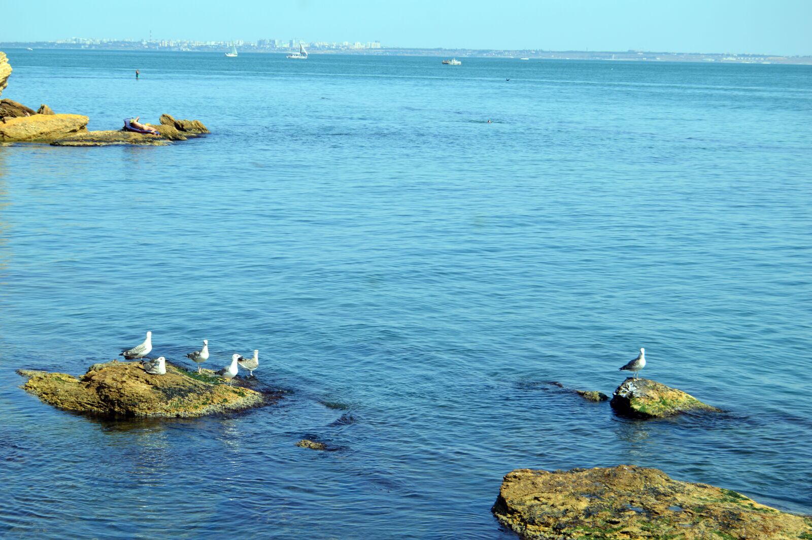 Nikon D3200 sample photo. Sea, seagull bird, leisure photography