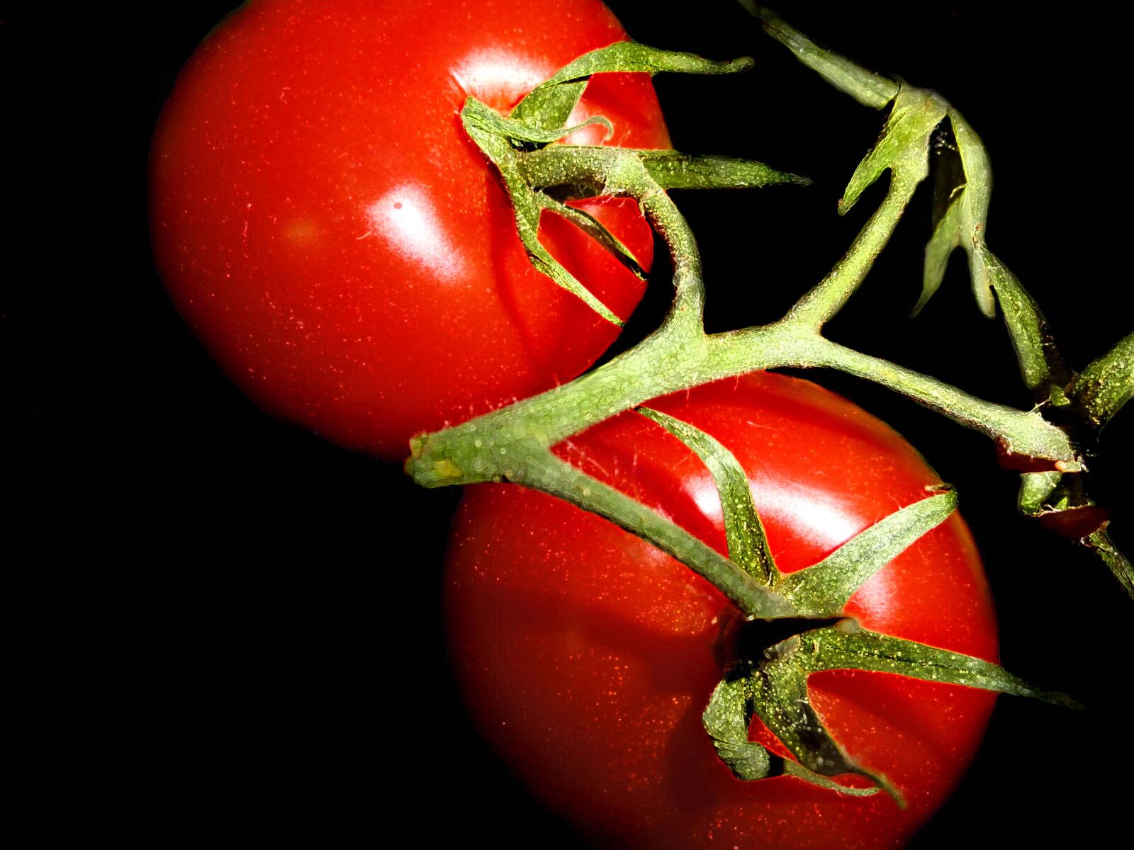 Sony DSC-HX5V sample photo. Food, vegetables, grow photography
