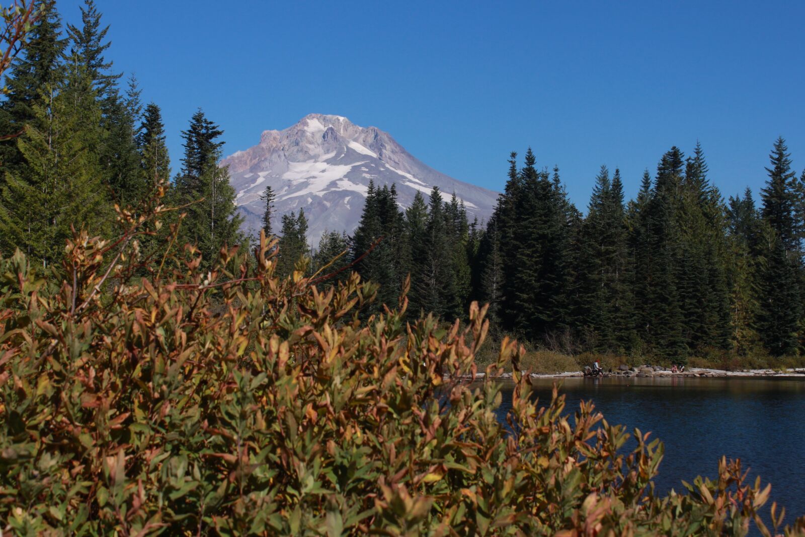 Canon EOS 500D (EOS Rebel T1i / EOS Kiss X3) sample photo. Mount hood, mirror lake photography