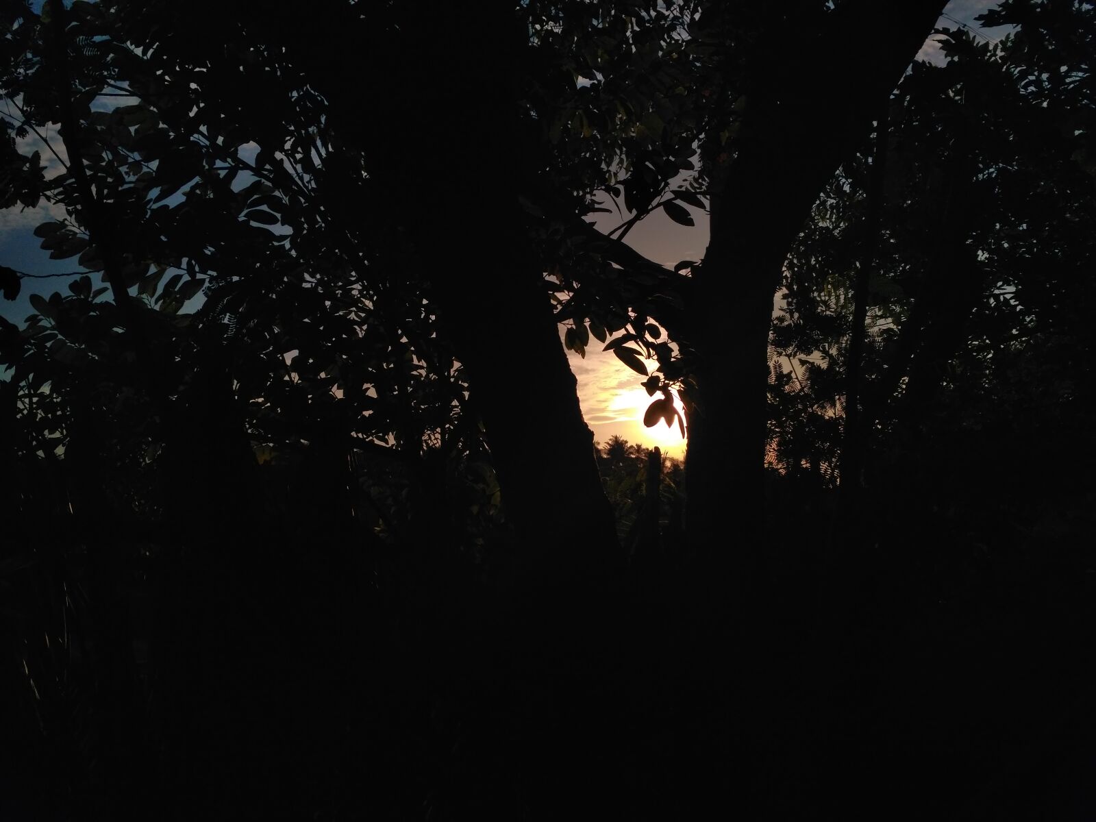 Xiaomi Redmi 3S sample photo