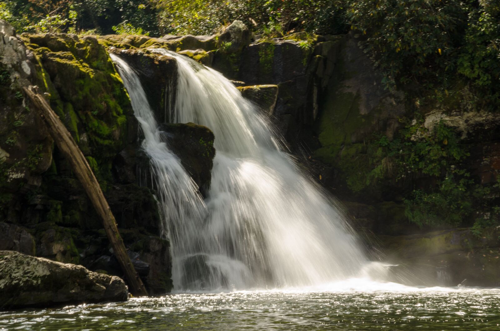 Nikon D5100 sample photo. Usa, america, nature photography