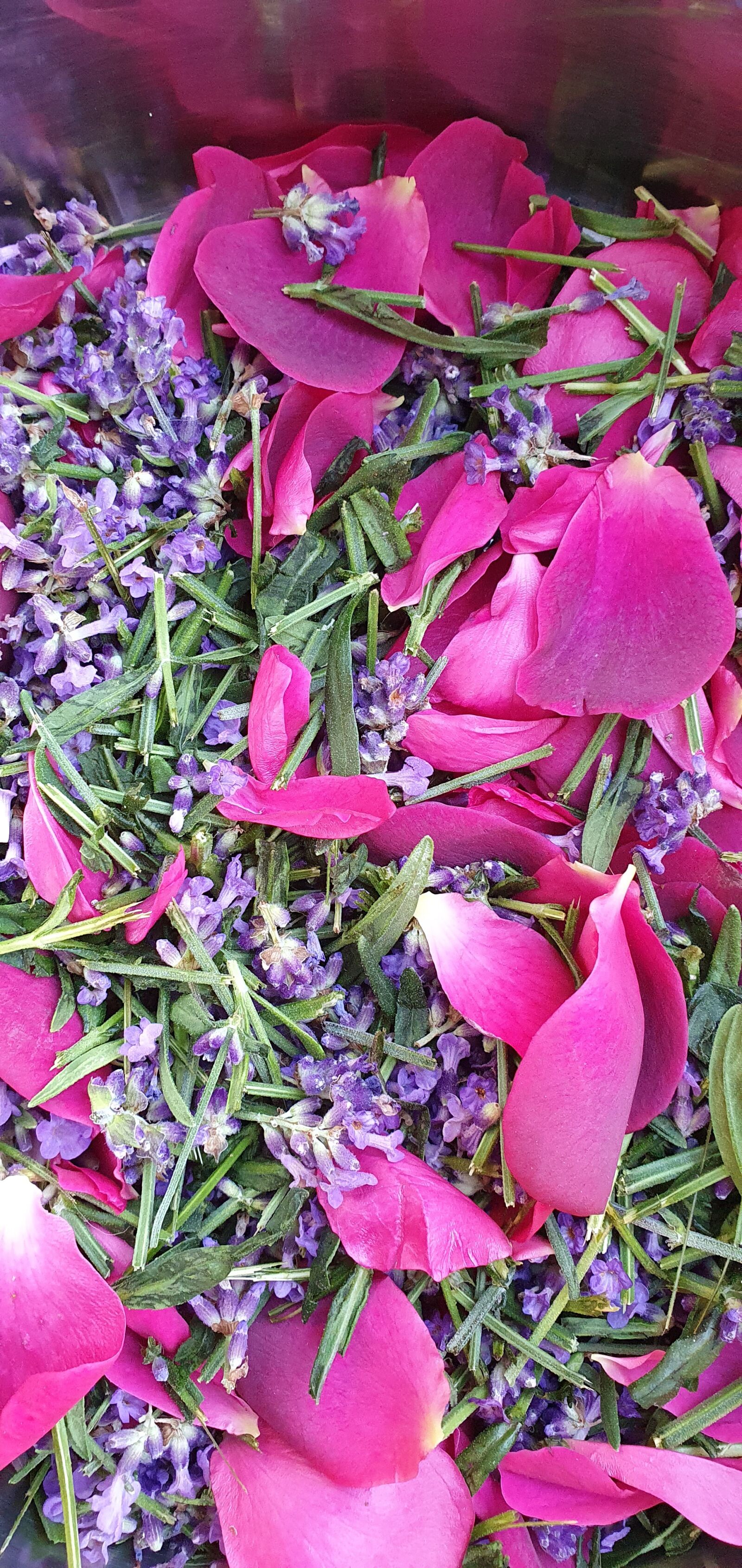Samsung Galaxy S10+ sample photo. Potpourri, lavender, rose photography