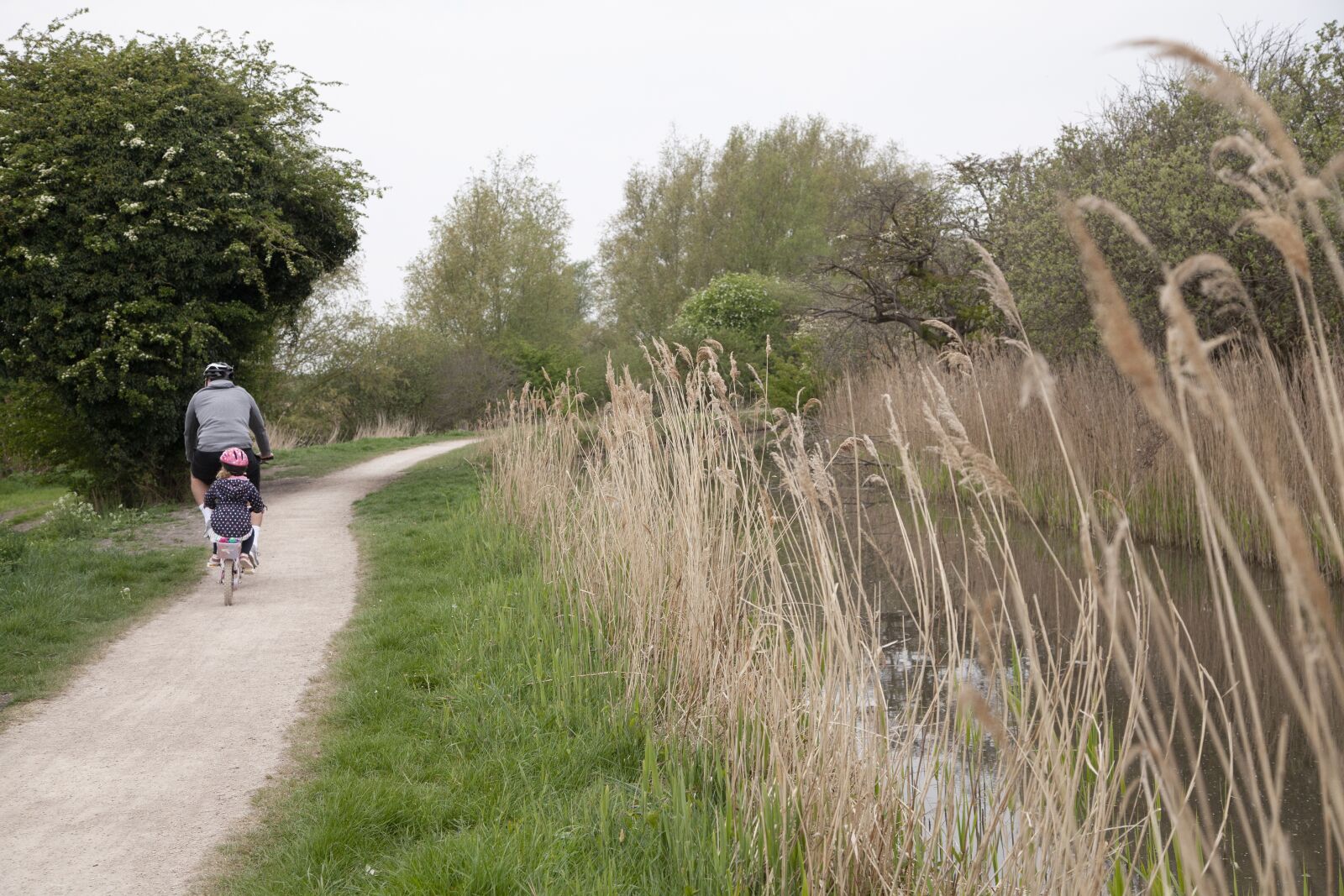 Canon EOS 5D Mark II sample photo. Fen, cycling, exercise photography