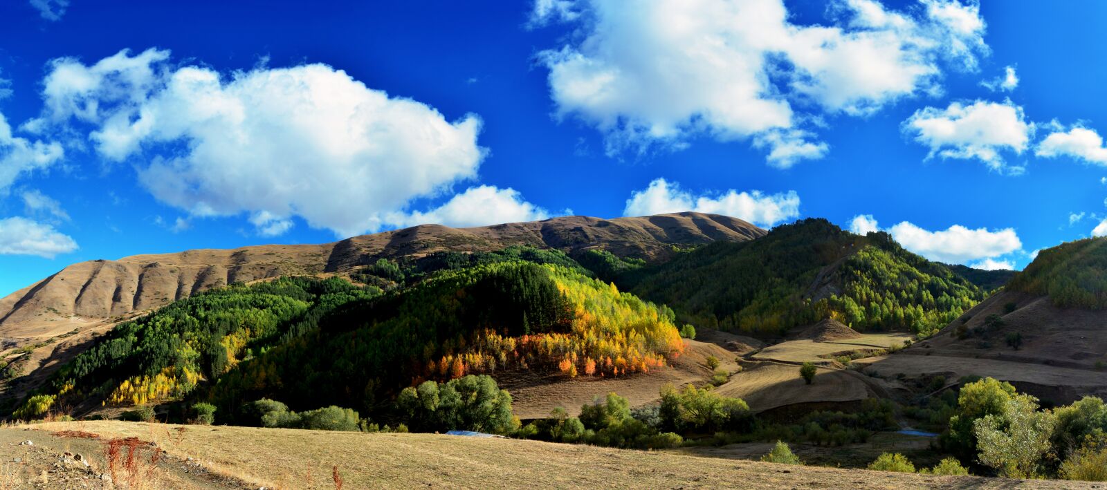 Nikon D7100 sample photo. Nature, landscape, kaçkars photography