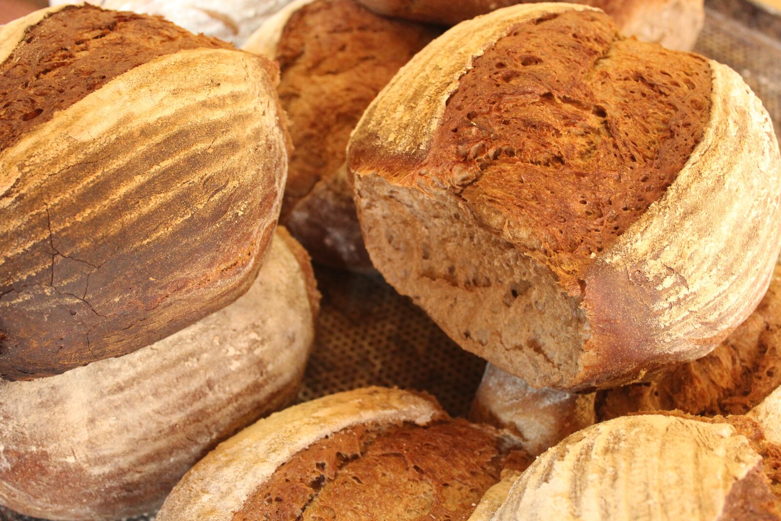 Canon EOS 600D (Rebel EOS T3i / EOS Kiss X5) sample photo. Bread, bake, bakery photography