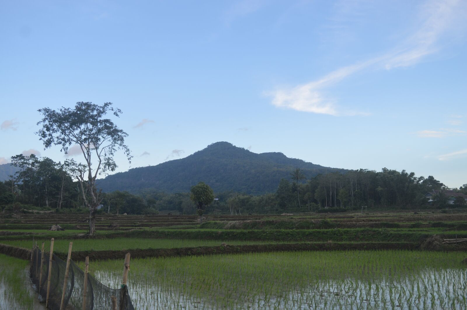 Nikon D3200 sample photo. Field, mount, nature photography