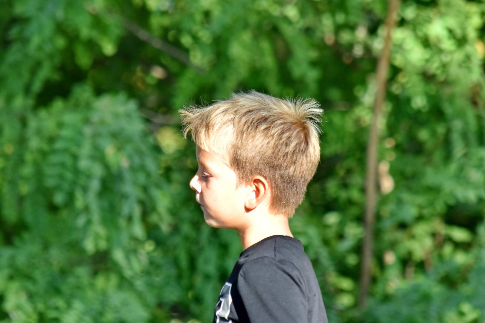 Nikon D5500 sample photo. Blonde hair, boy, forest photography