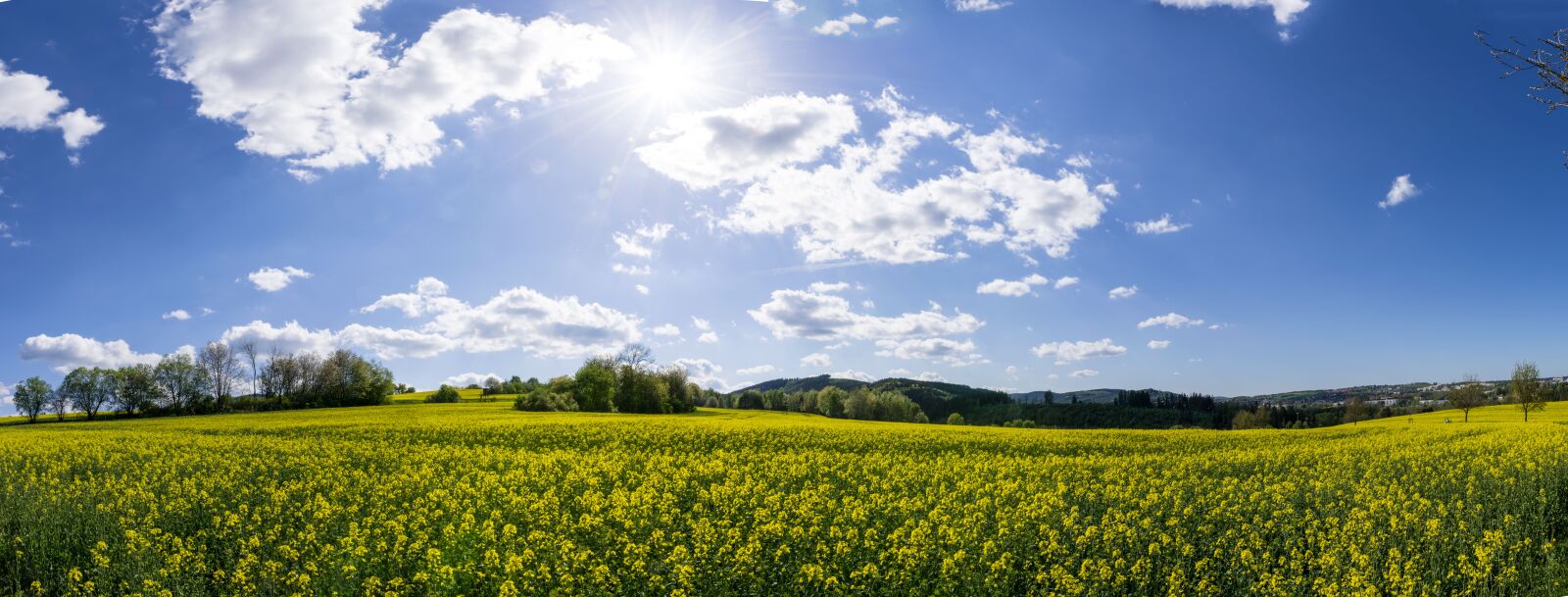 Nikon D5300 sample photo. Panorama, nature, landscape photography