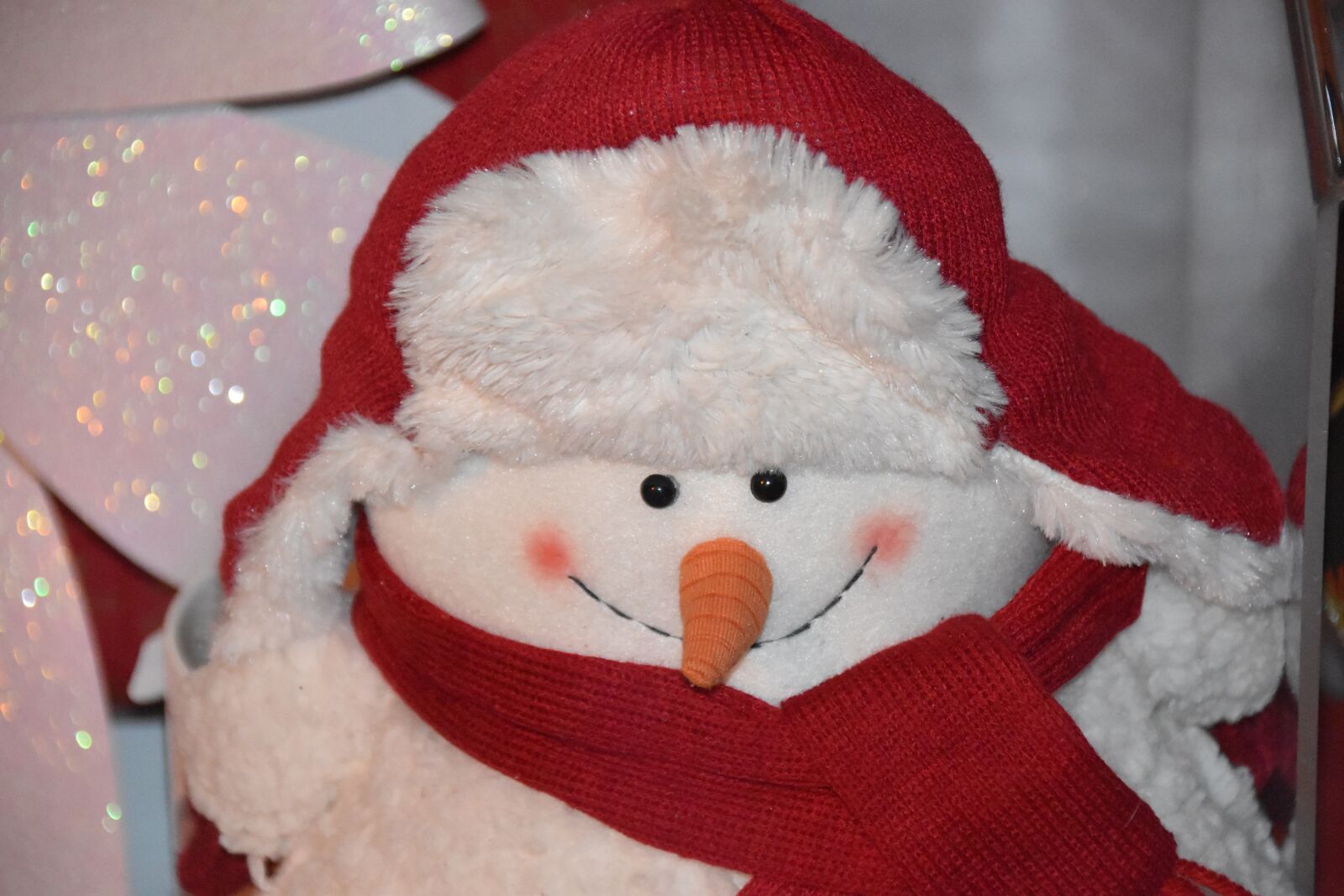 Nikon D5600 sample photo. Good snow man, winter photography