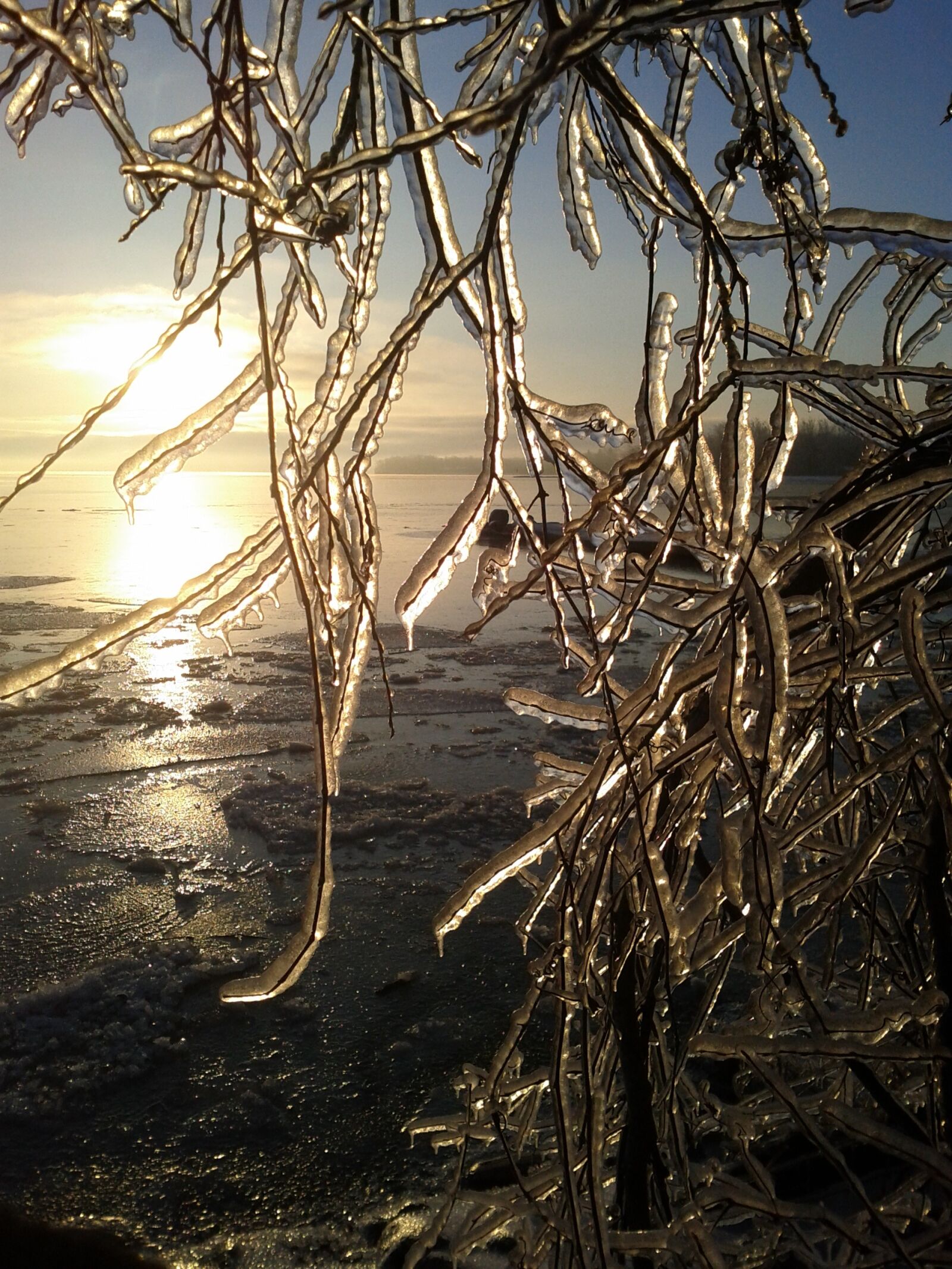 Google Nexus S sample photo. Ice, winter, cold photography