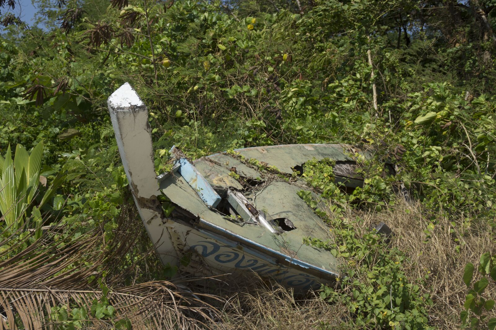 Sony SLT-A77 sample photo. Jungle, lost, stranded photography