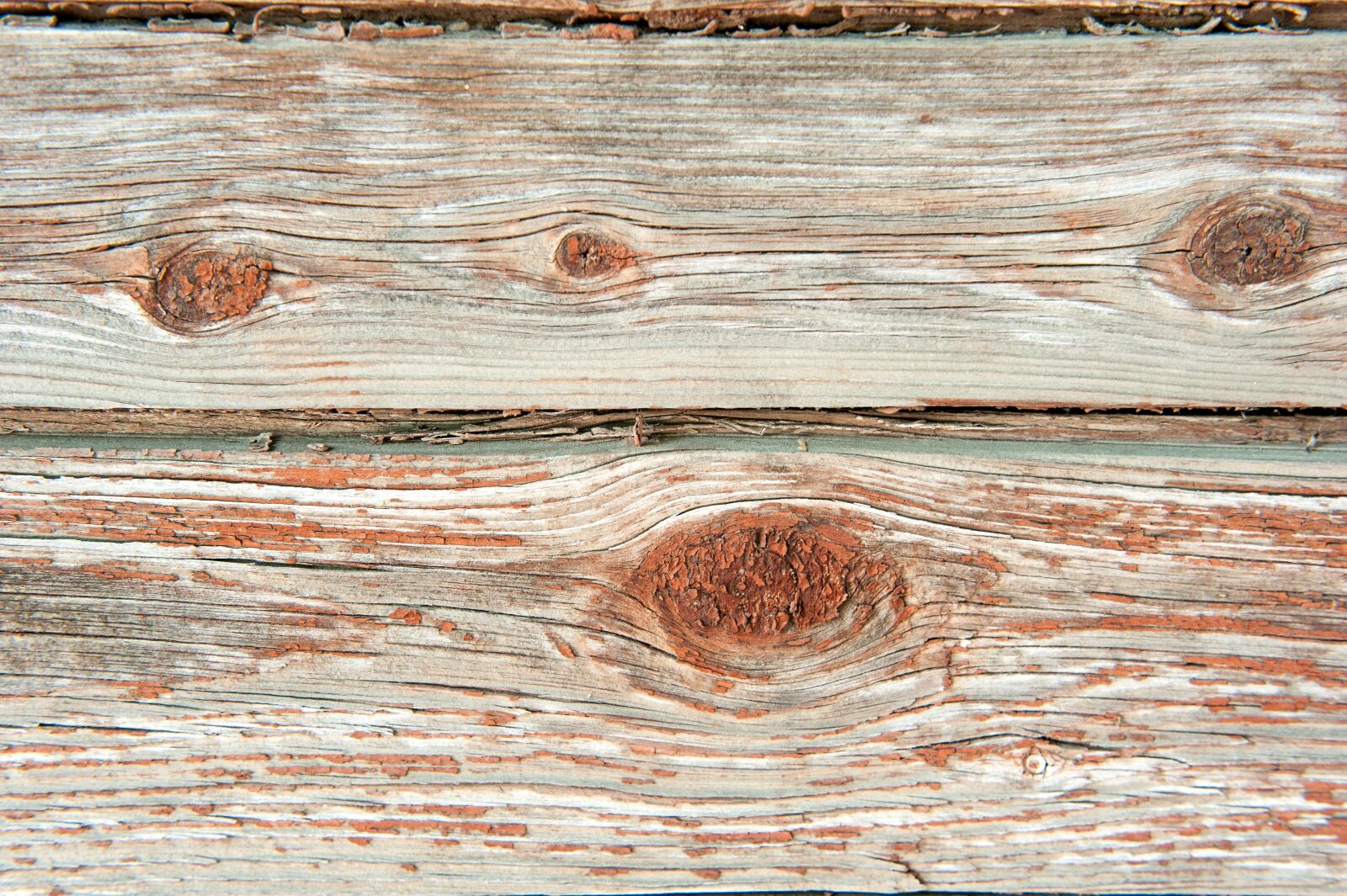 Nikon D700 sample photo. Old tree, orange, boards photography