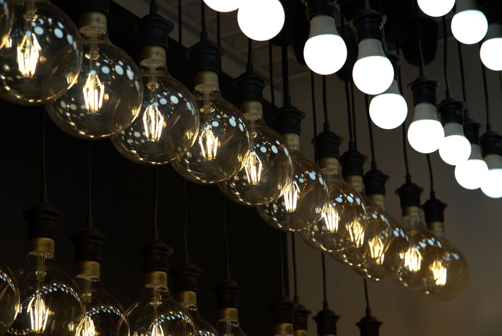 Sony a7 II + Sony FE 85mm F1.8 sample photo. Light, light bulb, energy photography